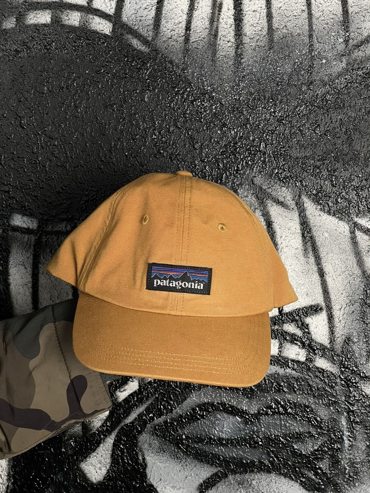 Patagonia Patagonia Hat P-6 Label Trad Cap Size ONE SIZE - 6 Thumbnail