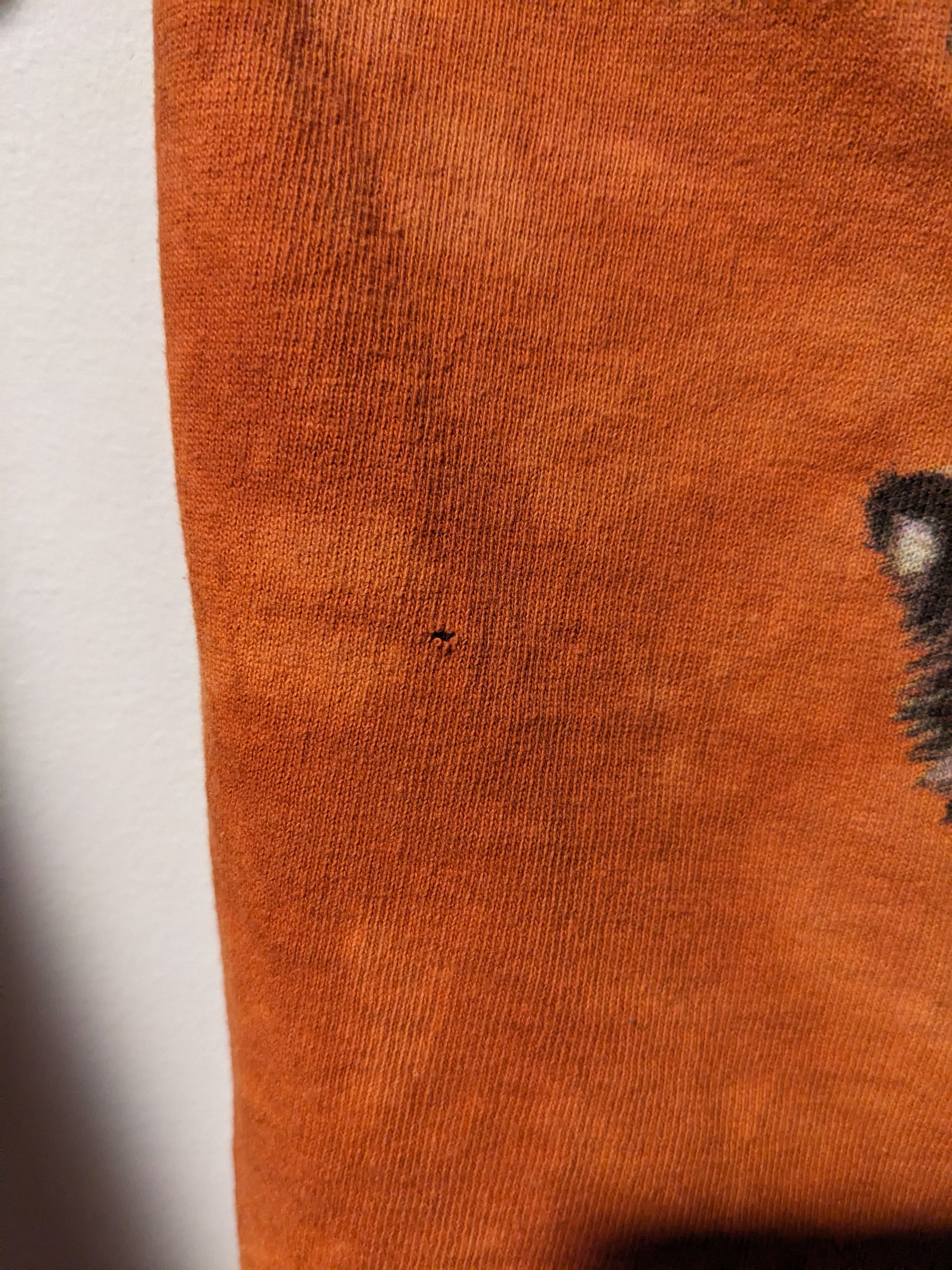The Mountain × Vintage Vintage 2007 The Mountain Tiger Animal Nature Large T-Shirt Size US L / EU 52-54 / 3 - 8 Thumbnail