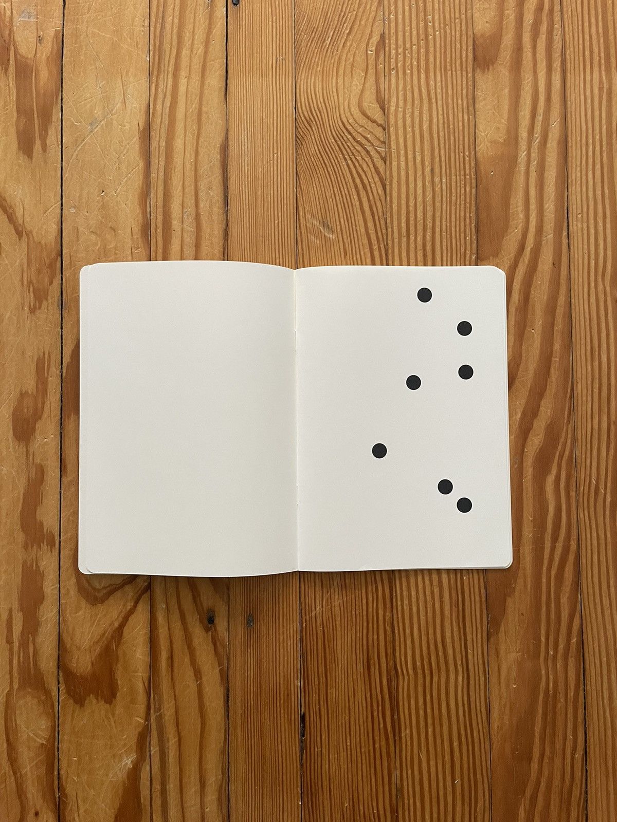 Comme des Garcons Archive Commes des garçons 2009 Dotted Notebook Artbooks Size ONE SIZE - 11 Thumbnail