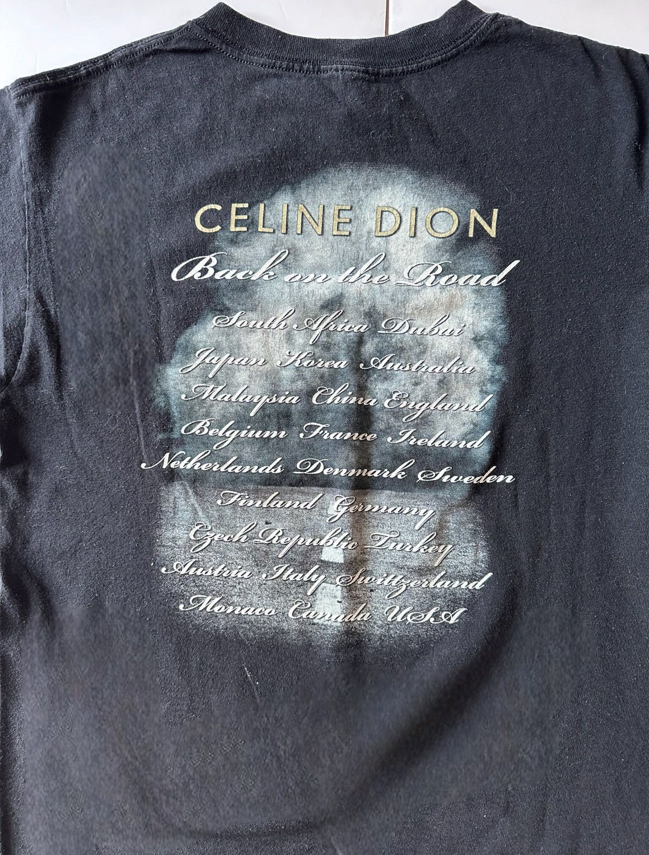 Anvil 2015 Celine Dion Back on the Road" Tour Band Tee Size M / US 6-8 / IT 42-44 - 5 Thumbnail