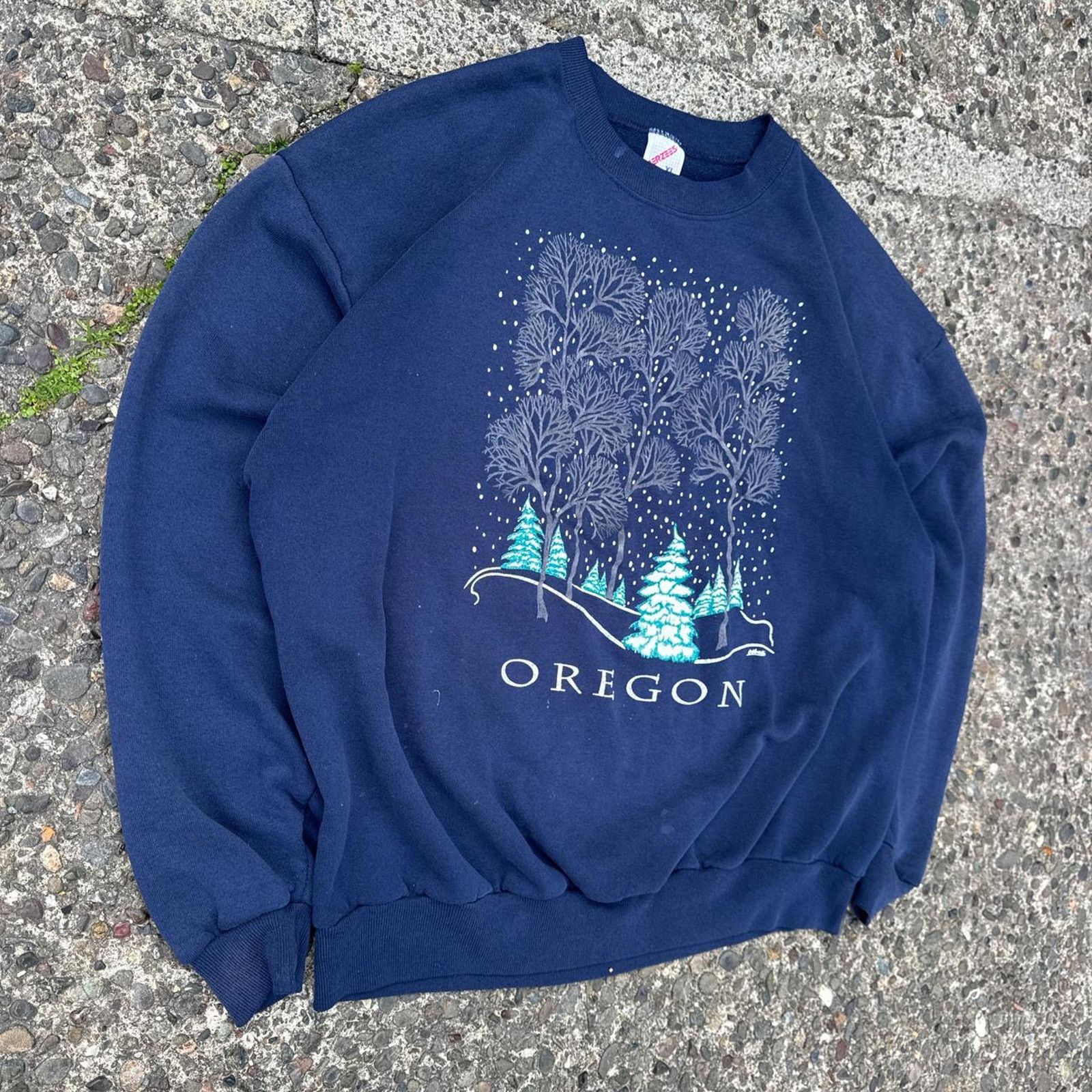 Jerzees Vintage Jerzees “Oregon Nature” Made in USA Crewneck Size XL Size US XL / EU 56 / 4 - 2 Thumbnail