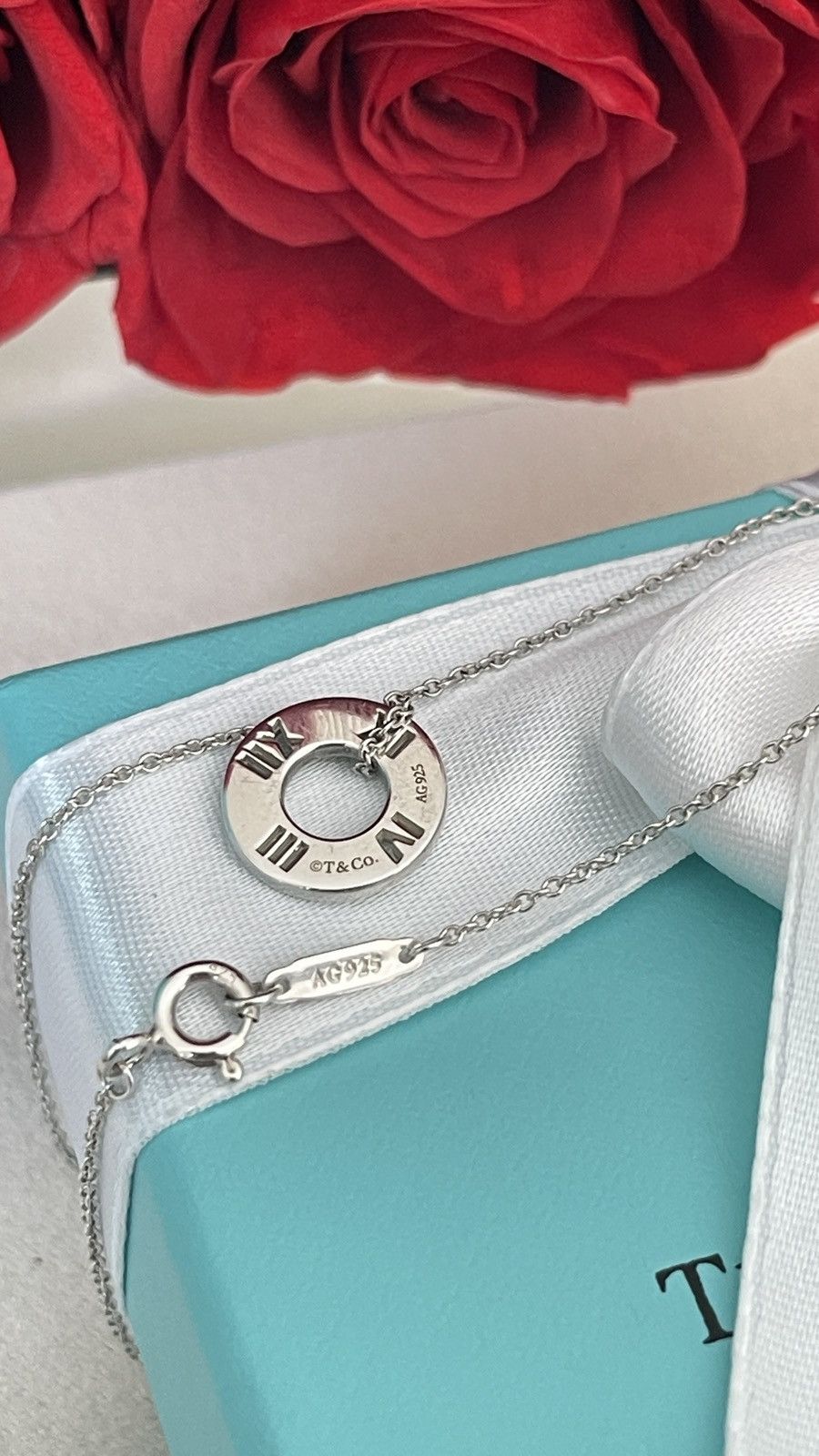 Tiffany & Co. Tiffany & Co. Atlas Circle Pendant Silver 16” inch NEW Size ONE SIZE - 9 Thumbnail