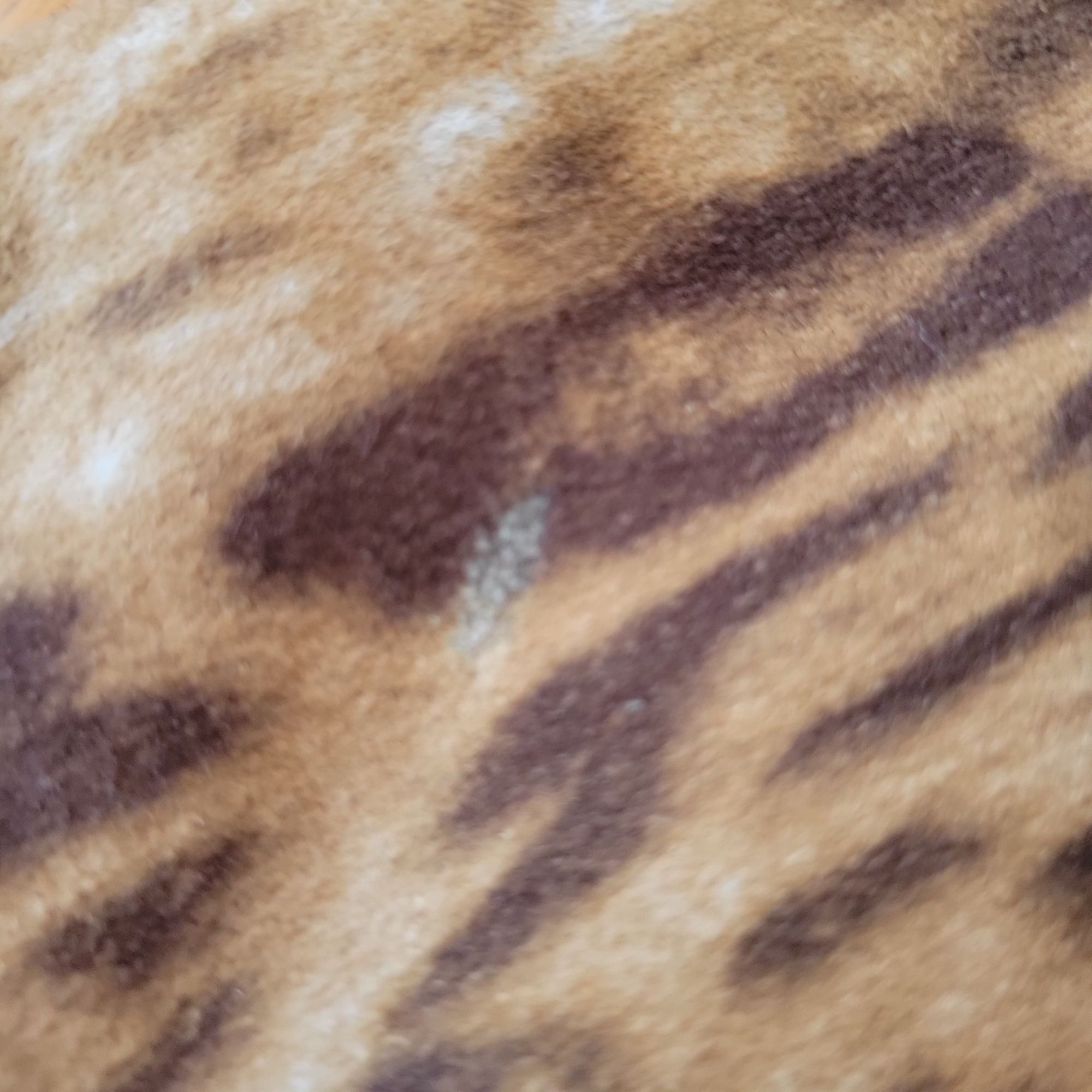 Other Dennis Basso Faux Fur Animal Print Coat 1X Winter Layering L Size XXL / US 16-18 / IT 52-54 - 6 Thumbnail