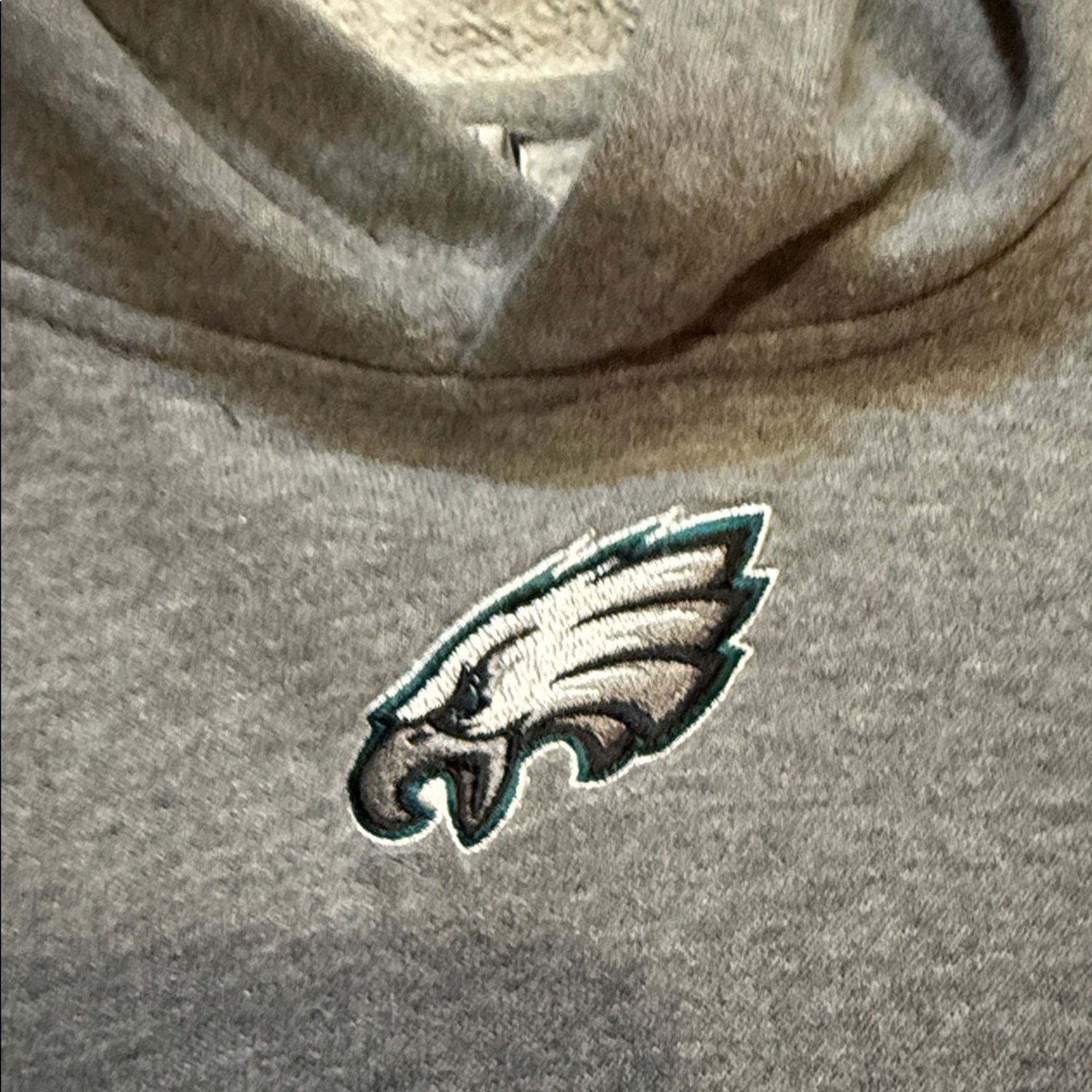 Nike 2010 Nike Eagles Center Swoosh Hoodie Size US L / EU 52-54 / 3 - 4 Thumbnail