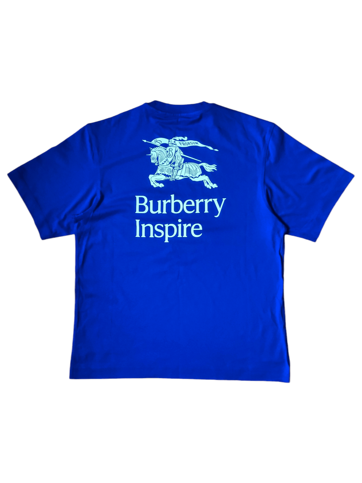 Burberry BURBERRY Men T-Shirts 8072008 TEMPAHB3590 Blue