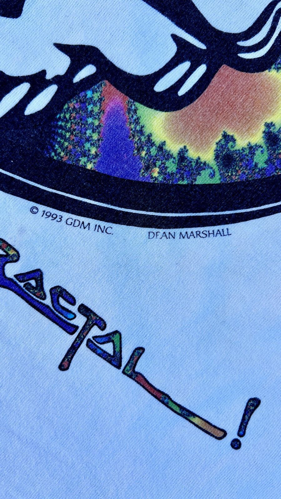 Grateful Dead 1993 Grateful Dead ‘Steal Your Fractal’ Tour shirt 1993 Size US XL / EU 56 / 4 - 6 Thumbnail