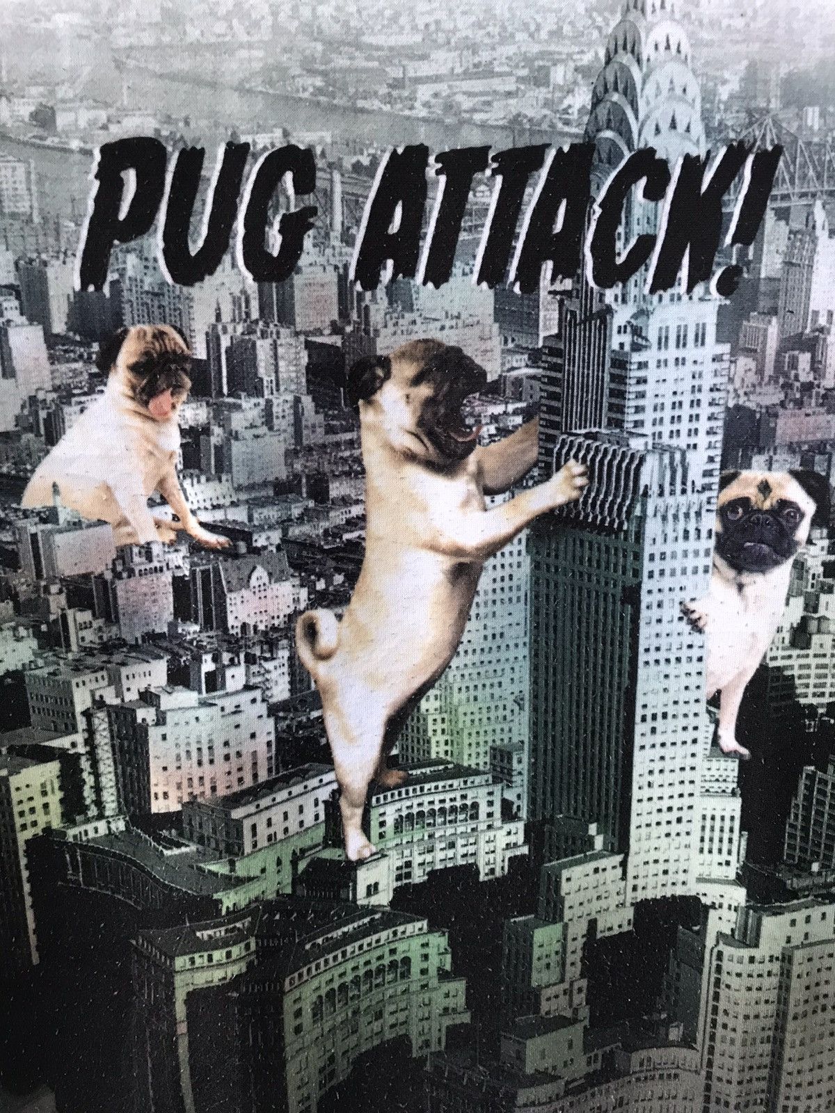 H&M H&M Pug Attack Fullprinted Sweatshirt Size US M / EU 48-50 / 2 - 4 Thumbnail