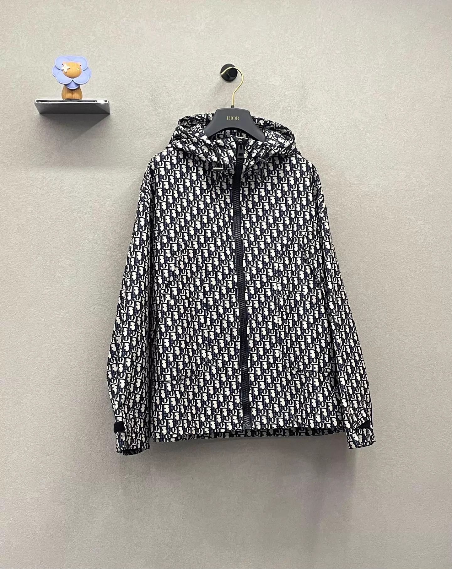Dior Dior Oblique Hooded Zip-Up Jacket Unisex M Size US M / EU 48-50 / 2 - 3 Thumbnail