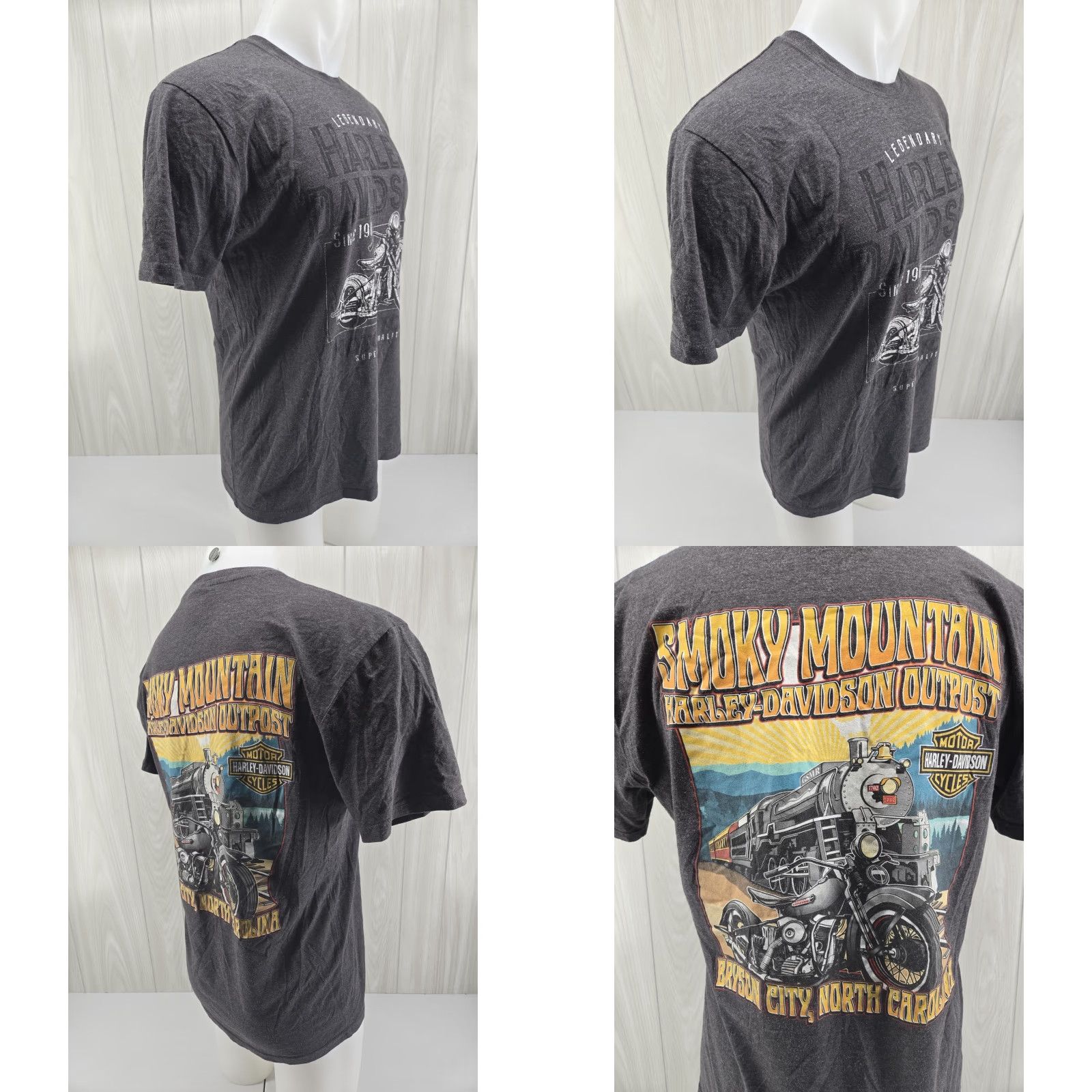 Harley Davidson VINTAGE Harley-Davidson Smoky Mountain Outpost Bryson City NC Graphic Shirt Large Gray Mens T-Shirt City 2000s Size US L / EU 52-54 / 3 - 8 Thumbnail