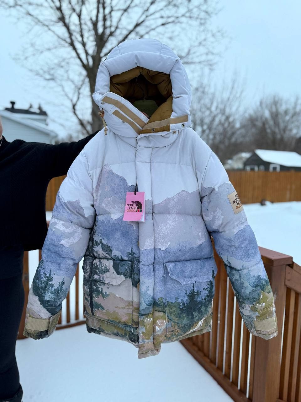 Gucci × The North Face Gucci x The North Jacket – Brand New Size M / US 6-8 / IT 42-44 - 1 Thumbnail