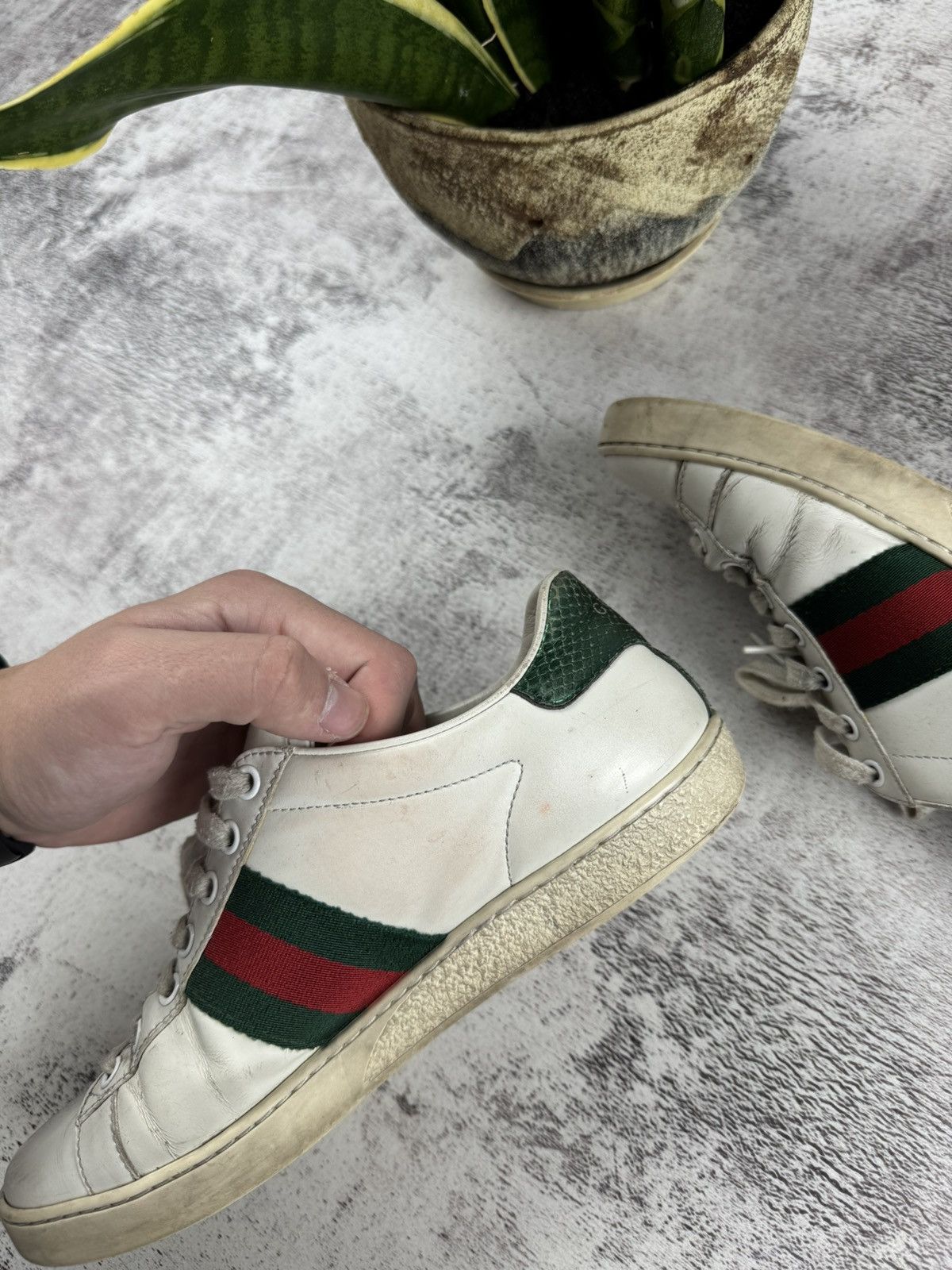 Gucci Gucci Ace Women’s US 7,5 EU 38 White Bee Casual Red Leather Low Shoes Sneakers Size US 7.5 / IT 37.5 - 5 Thumbnail