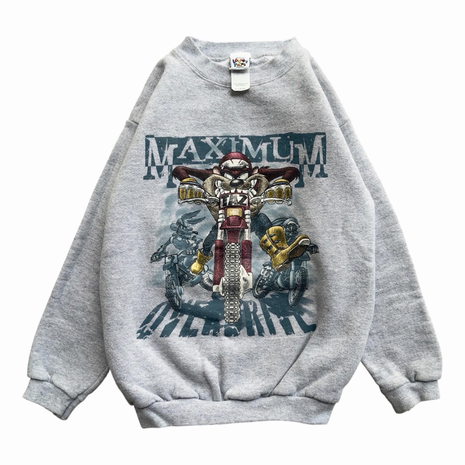 Other 1996 Taz Tasmanian Devil Sweatshirt XS 17.5x21.5 Size XS / US 0-2 / IT 36-38 - 1 Thumbnail