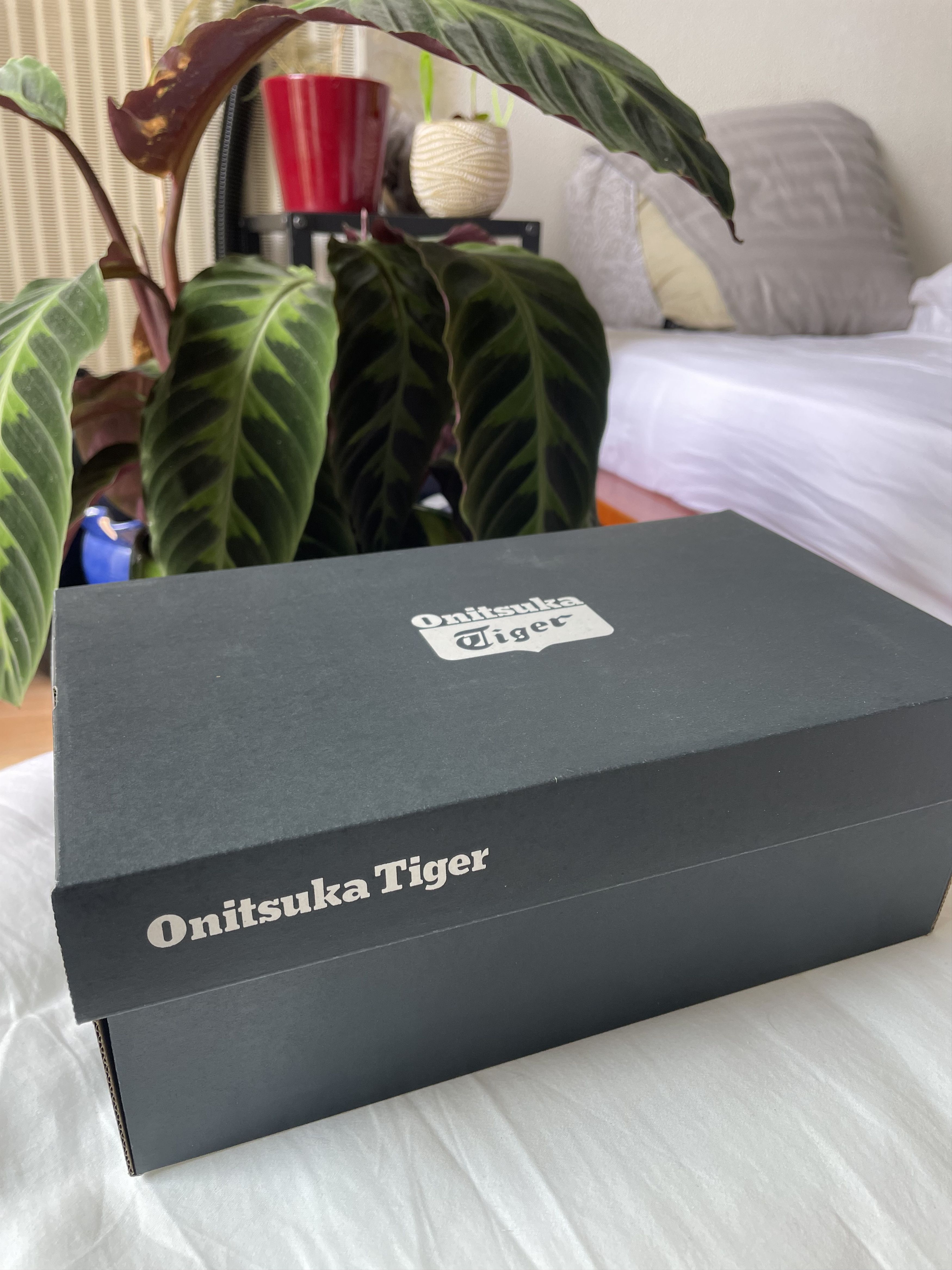 Onitsuka Tiger Mexico 66 TGRS Flats Size US 6.5 / IT 36.5 - 6 Thumbnail