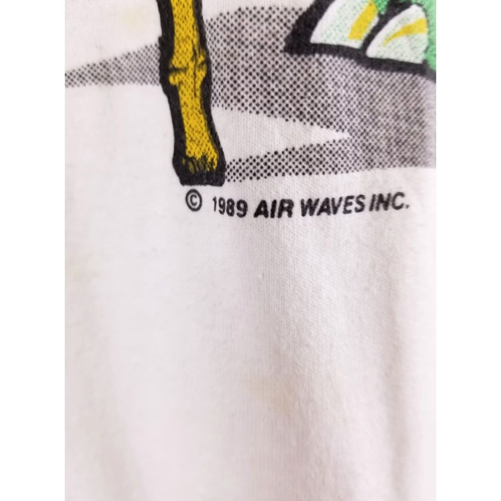 Hanes VINTAGE 89' TURTLE WHITE T-SHIRT SZ L 90s SINGLE STITCH 50/50 Size US L / EU 52-54 / 3 - 3 Thumbnail