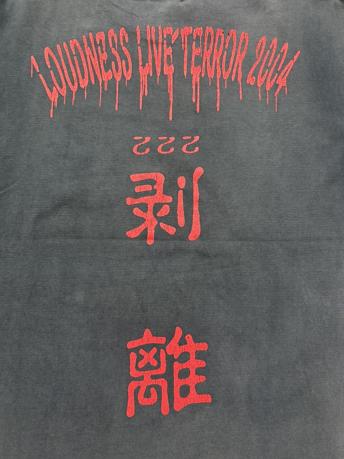 Band Tees × Vintage vintage loudness live terror 2004 faded band tshirt Size US XL / EU 56 / 4 - 4 Thumbnail