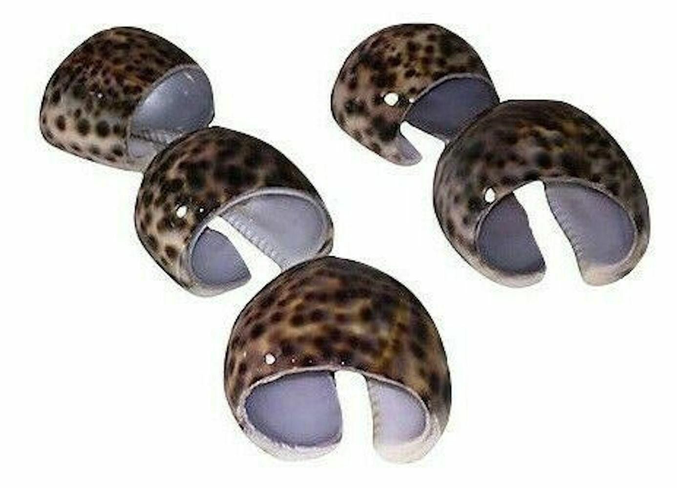 Designer Tiger Cowrie Shell Napkin Holders, S/5 Size ONE SIZE - 1 Thumbnail