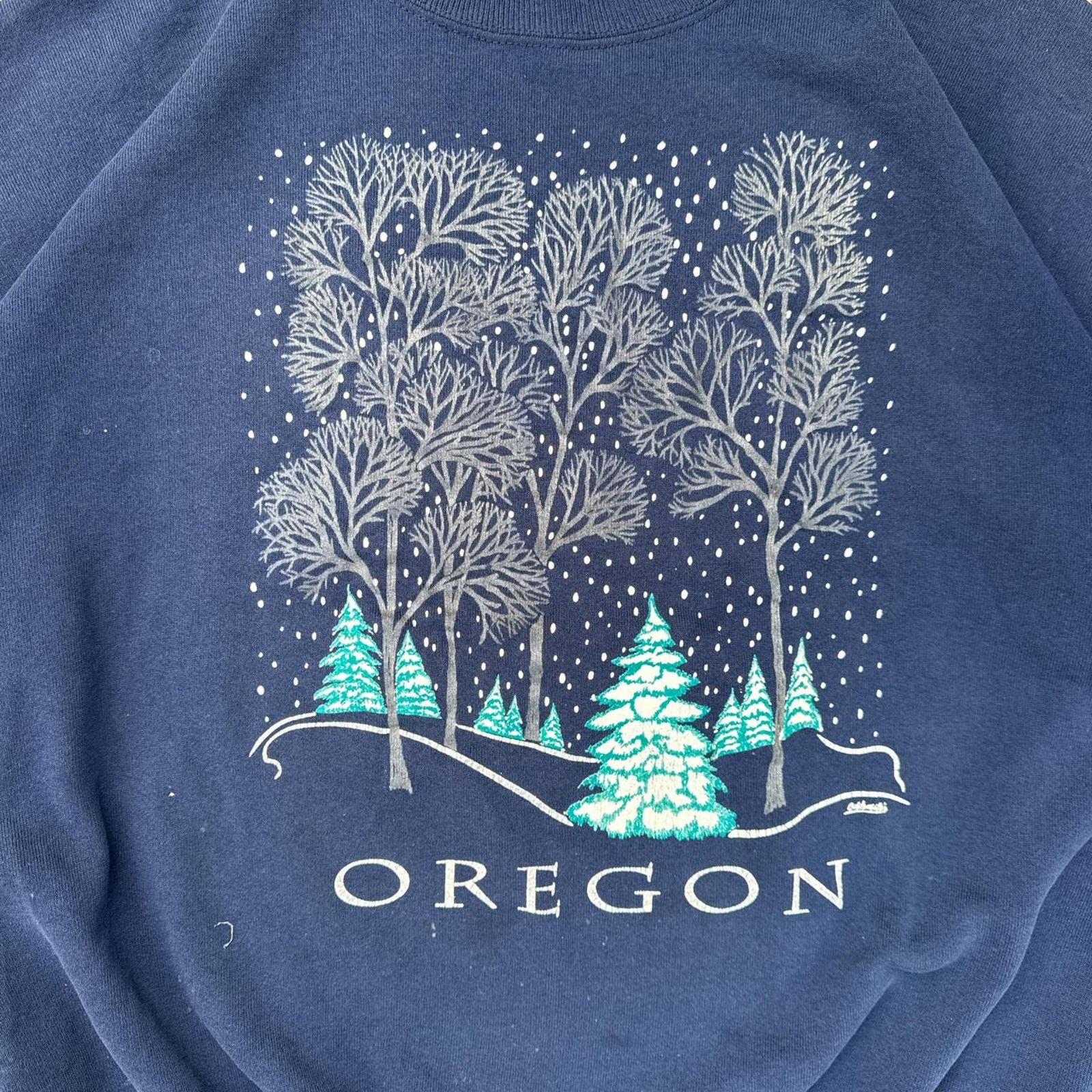 Jerzees Vintage Jerzees “Oregon Nature” Made in USA Crewneck Size XL Size US XL / EU 56 / 4 - 3 Thumbnail