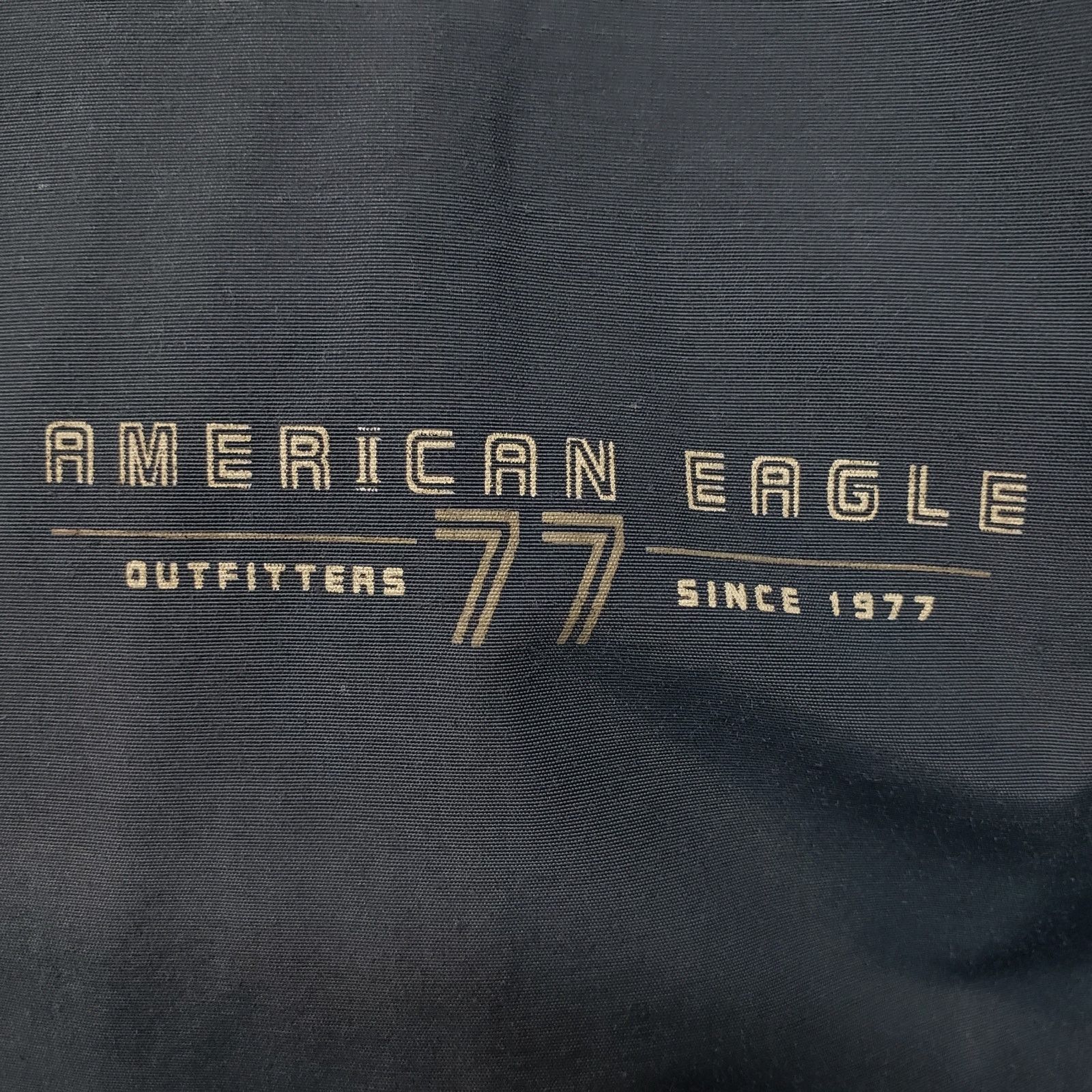 American Eagle Outfitters American Eagle AE77 Performance Jacket Hood XL Full Zip 90s Size US XL / EU 56 / 4 - 5 Thumbnail