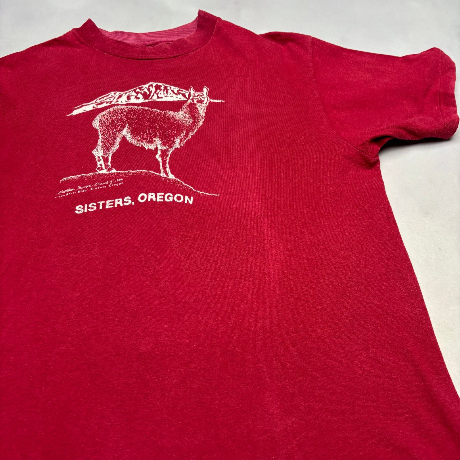 Hanes × Vintage Vintage 80s Sisters Oregon Llama Single Stitch Shirt Large Size US L / EU 52-54 / 3 - 10 Thumbnail