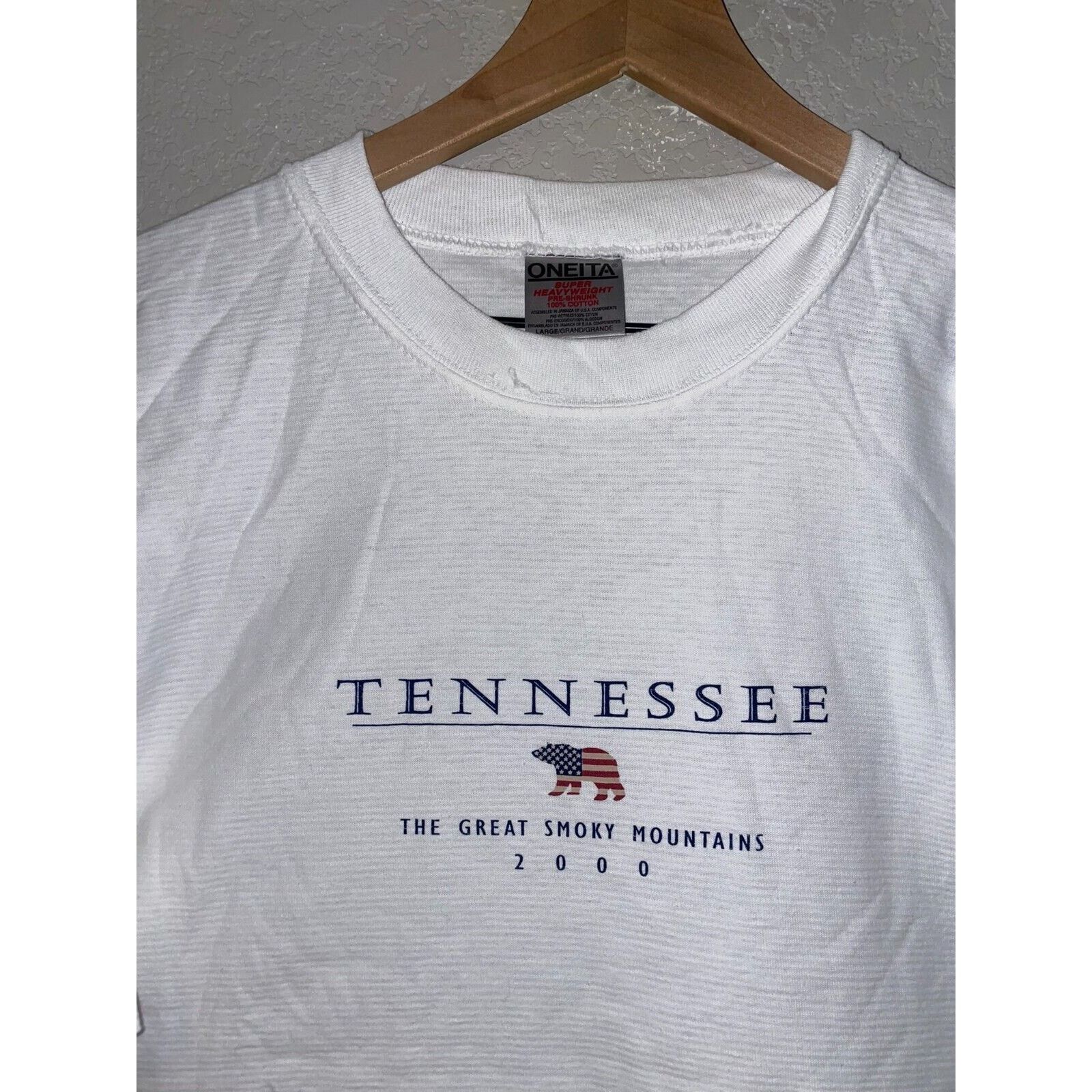 Jerzees Y2K Tennessee Shirt Great Smoky Mountains Striped White Tee Size US L / EU 52-54 / 3 - 2 Thumbnail