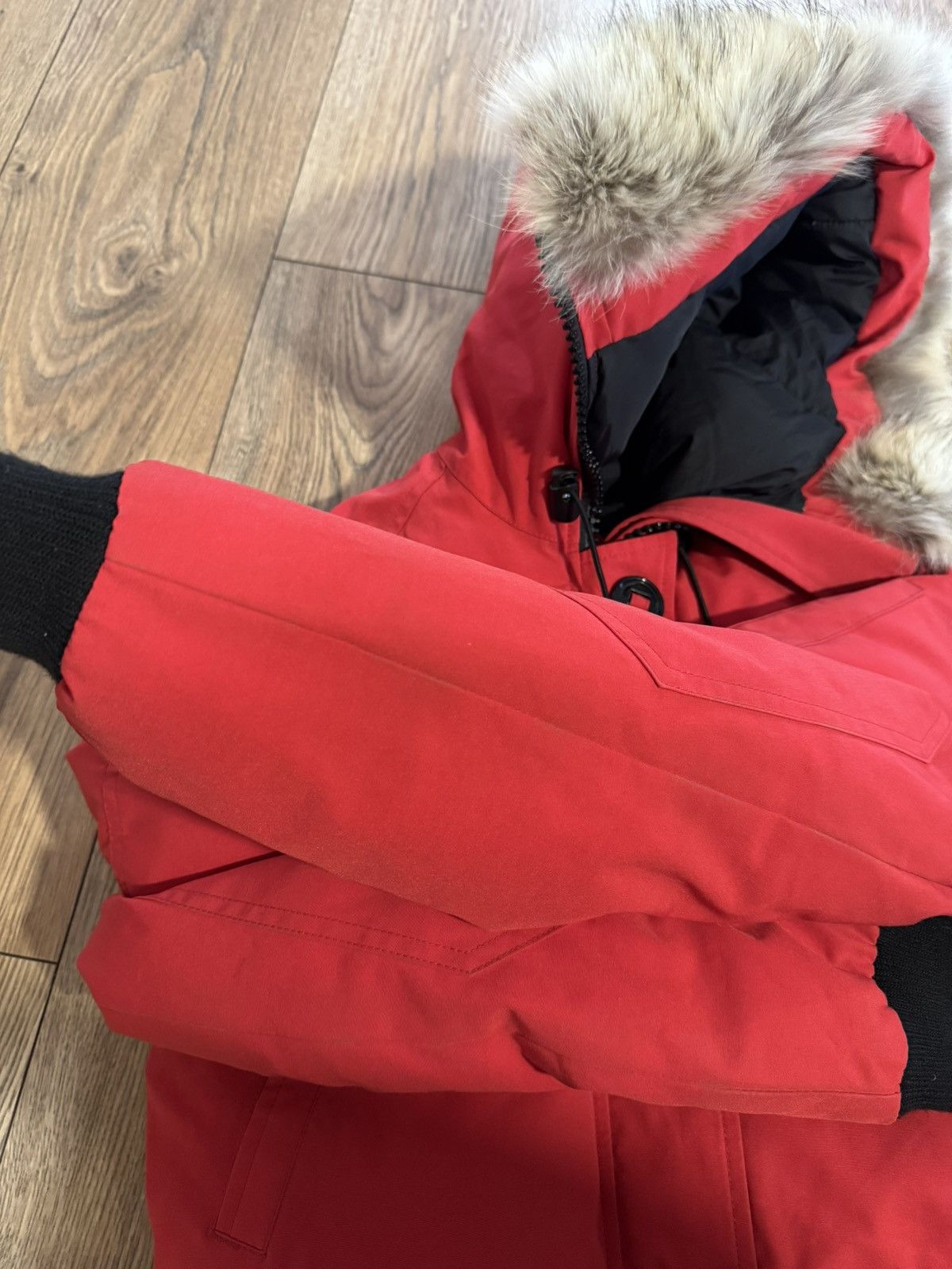 Canada Goose Canada goose chilliwack bomber jacket Size US XXS / EU 40 - 7 Thumbnail