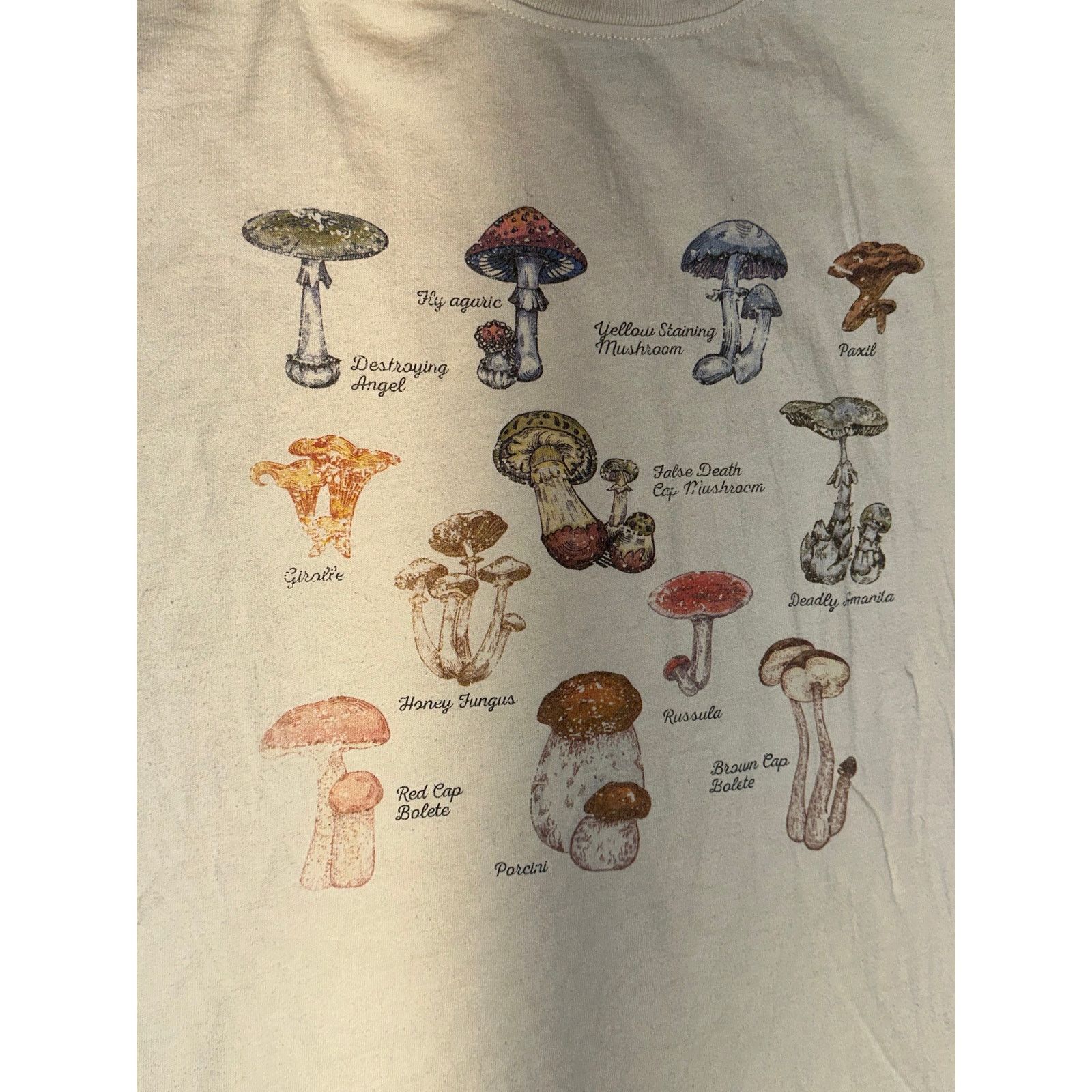 Forever 21 Forever 21 Mushroom Guide Size Medium Shirt Size M / US 6-8 / IT 42-44 - 5 Thumbnail