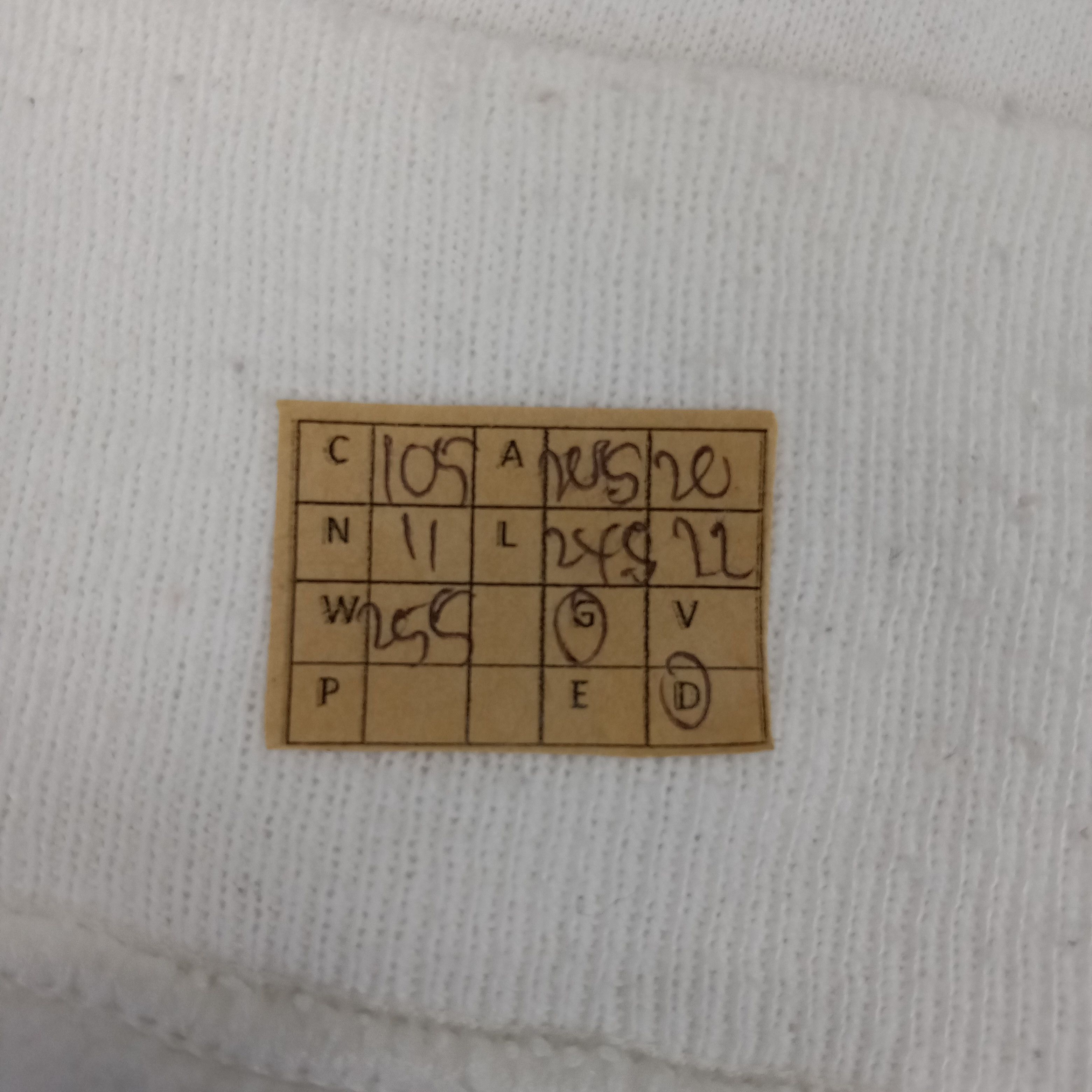 Animal Polar Bear Art by Harlequin N.G. Sweatshirt