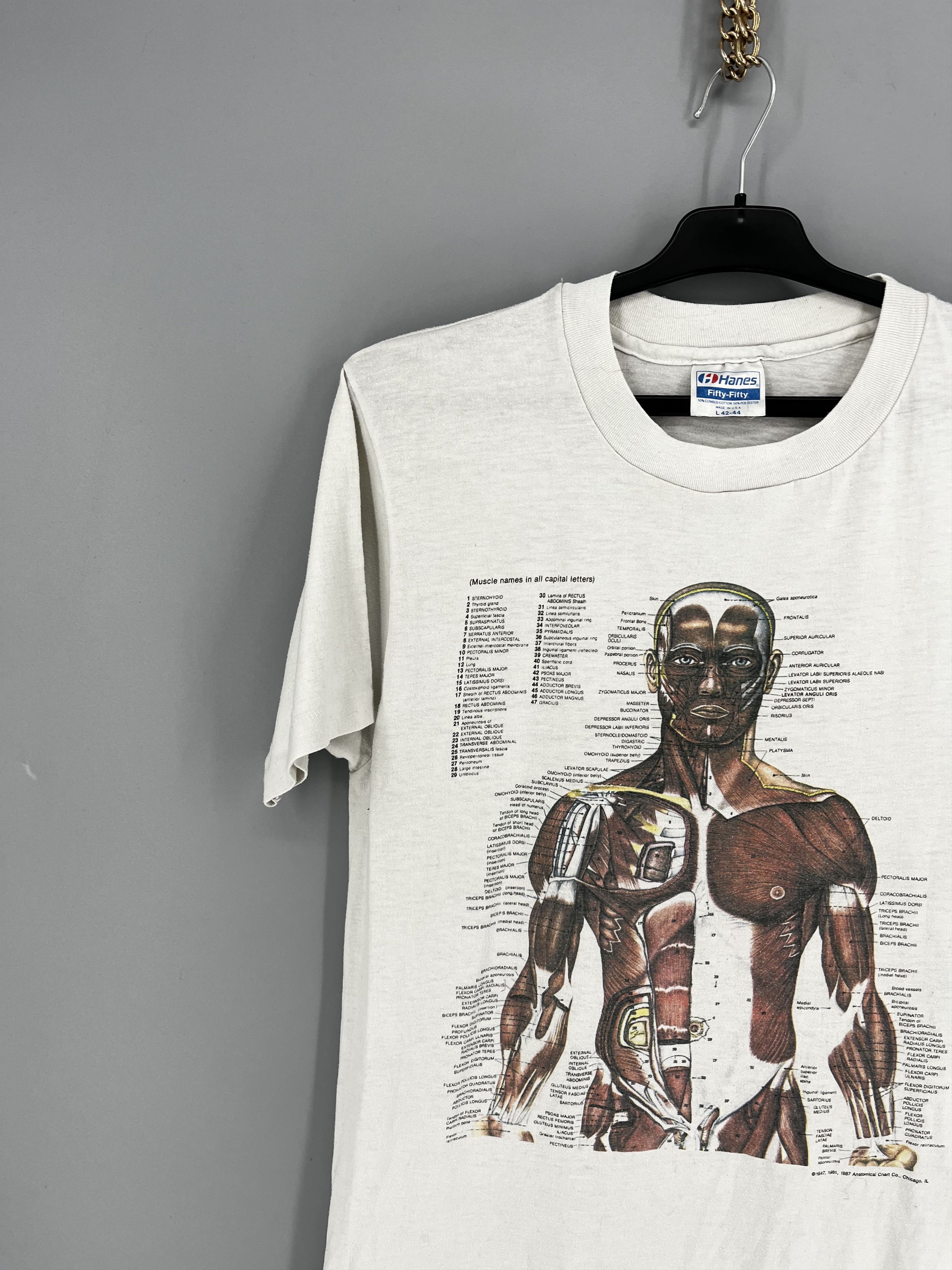Other Anatomy Muscle Shirt Same Print as Kurt Cobain Rare Medical Size US M / EU 48-50 / 2 - 4 Thumbnail