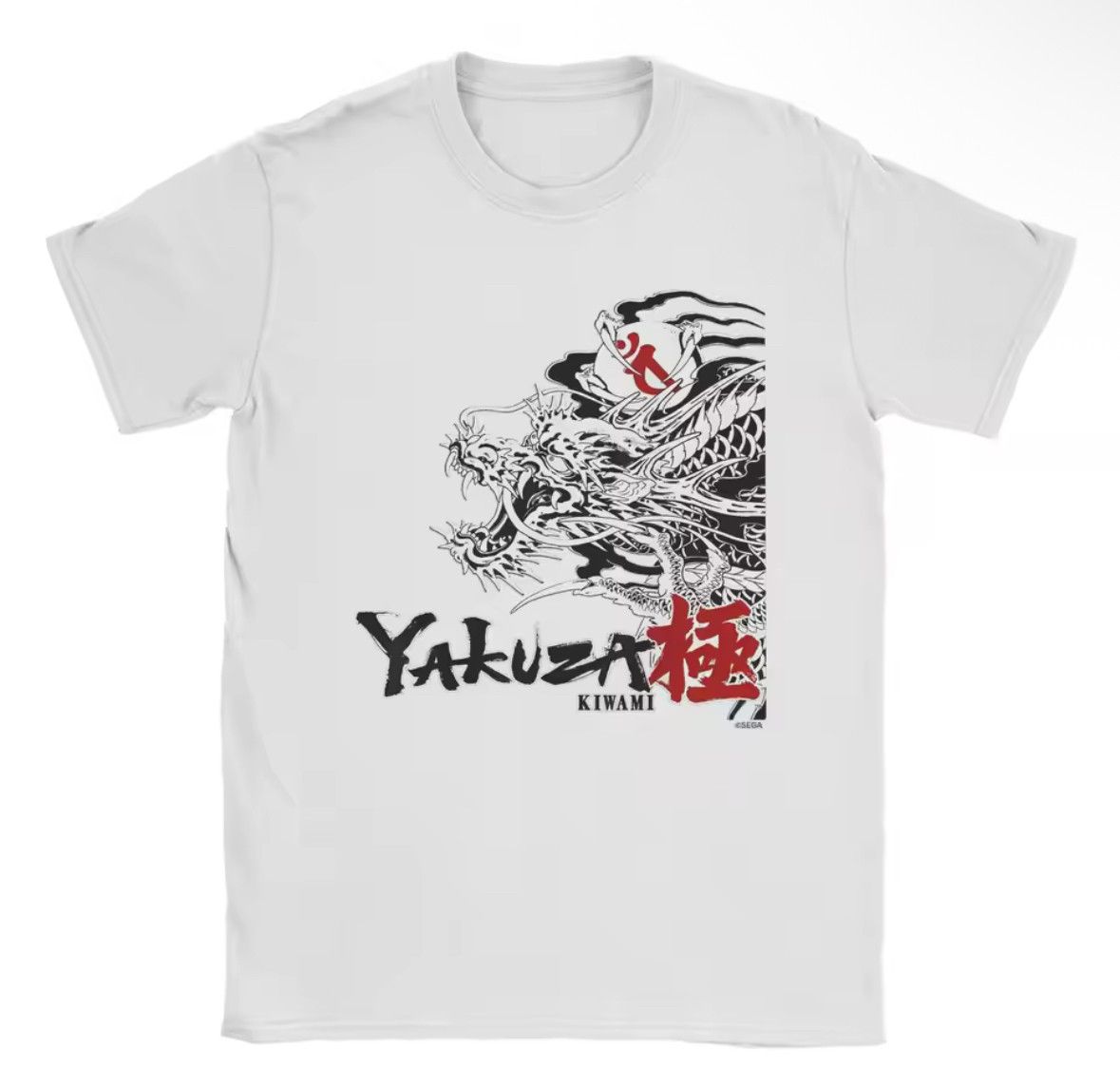 Japanese Brand GUERNIKA X POKEMON LIZARDON T-Shirt Size : XXL