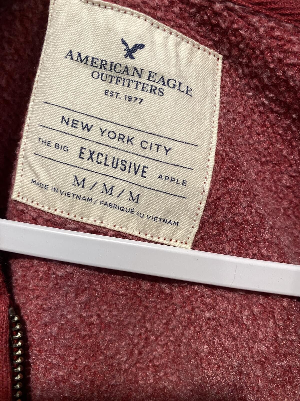 American Eagle Outfitters American Eagle NYC Blame It On NYC Zip-Up Hoodie Size M / US 6-8 / IT 42-44 - 3 Thumbnail