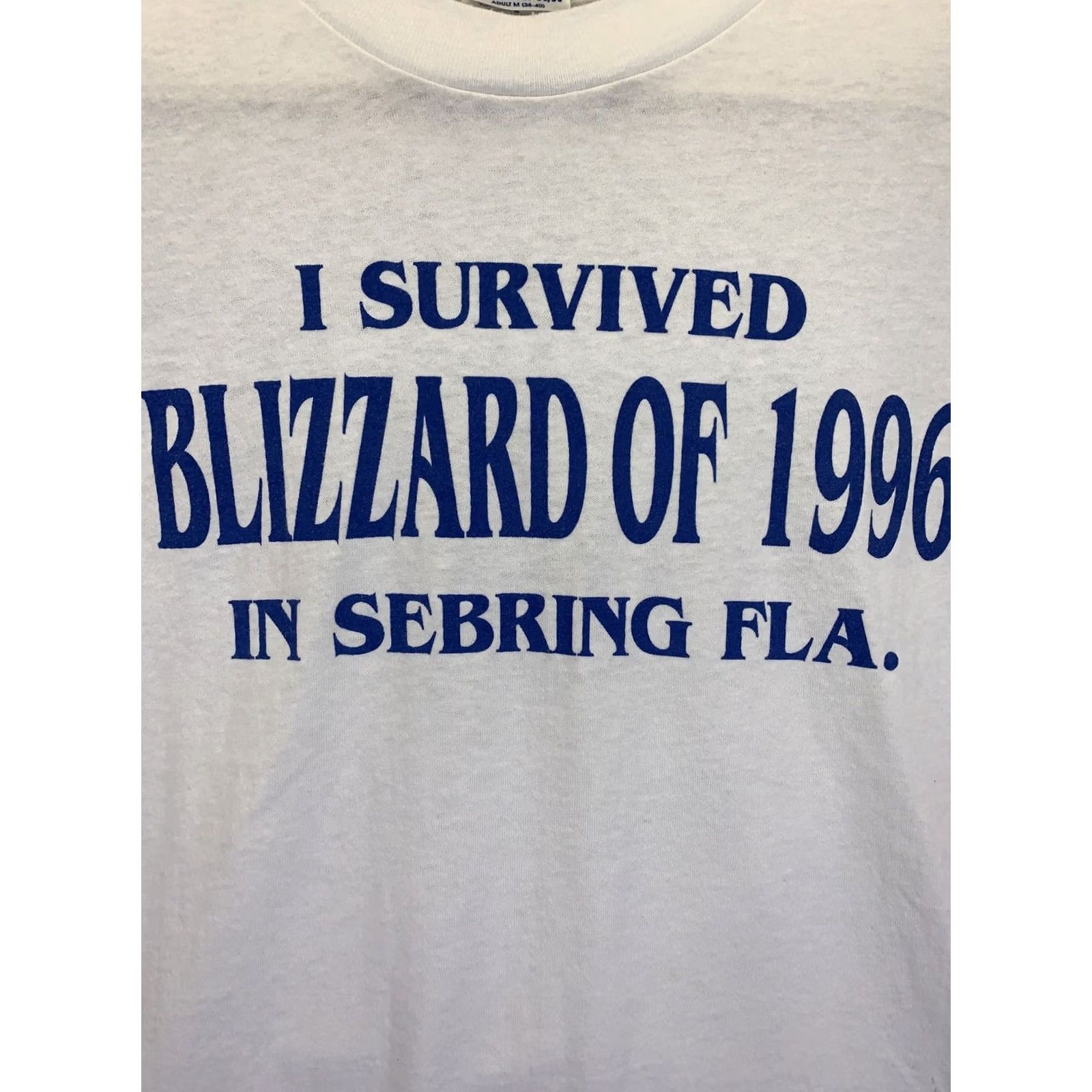 Hanes VINTAGE I Survived The Blizzard Of 96 Graphic Tee Mens M White 1990s 8408 Size US M / EU 48-50 / 2 - 2 Thumbnail