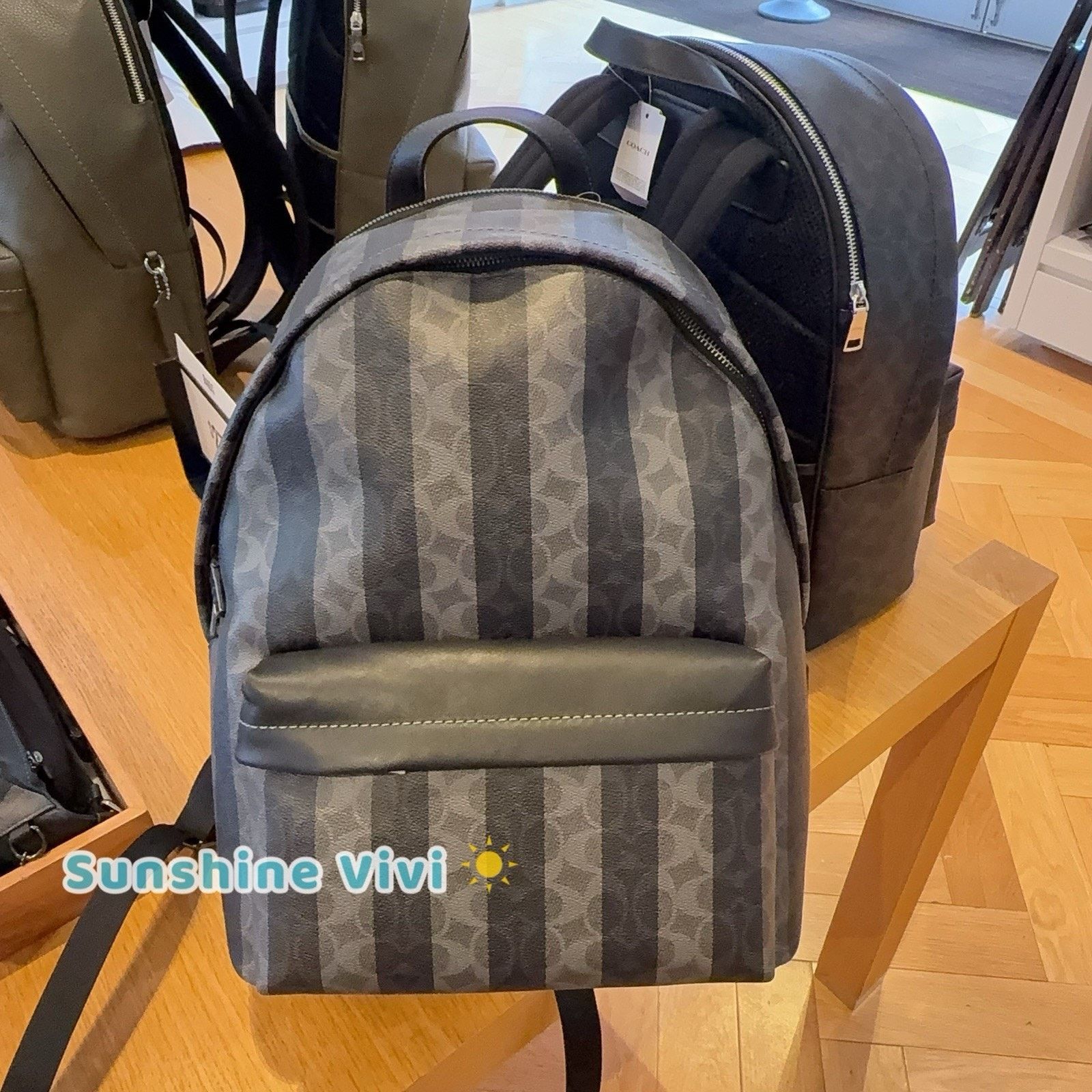 Coach NWT Coach Taylor Backpack Stripes Gunmetal/Black/Grey CDX88 Size ONE SIZE - 6 Thumbnail