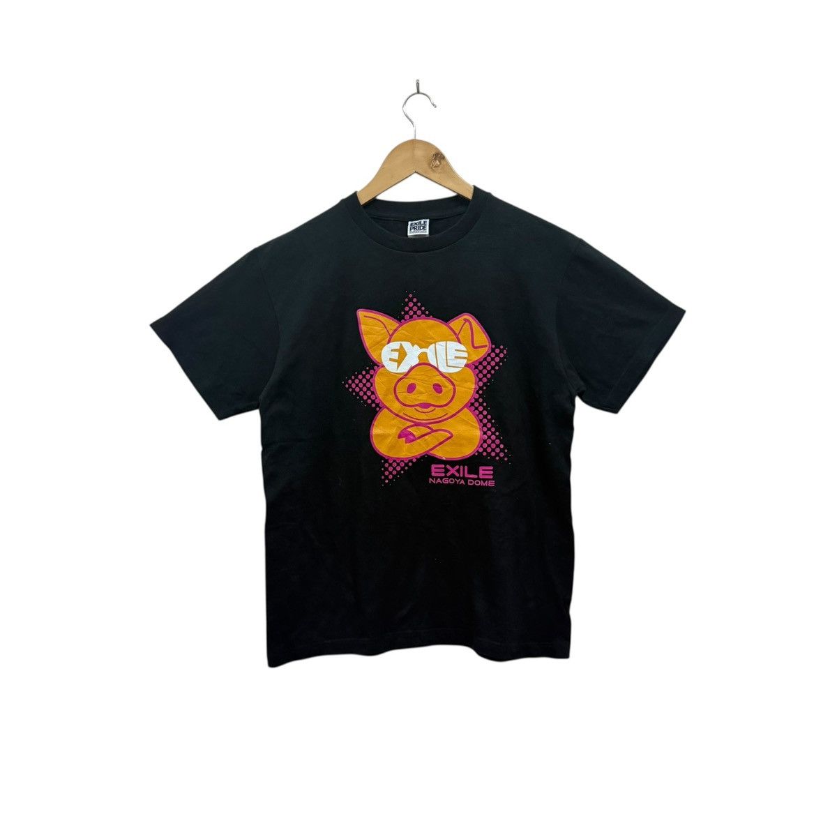 Exile Pride Live Tour 2013 Tshirt Japanese Band