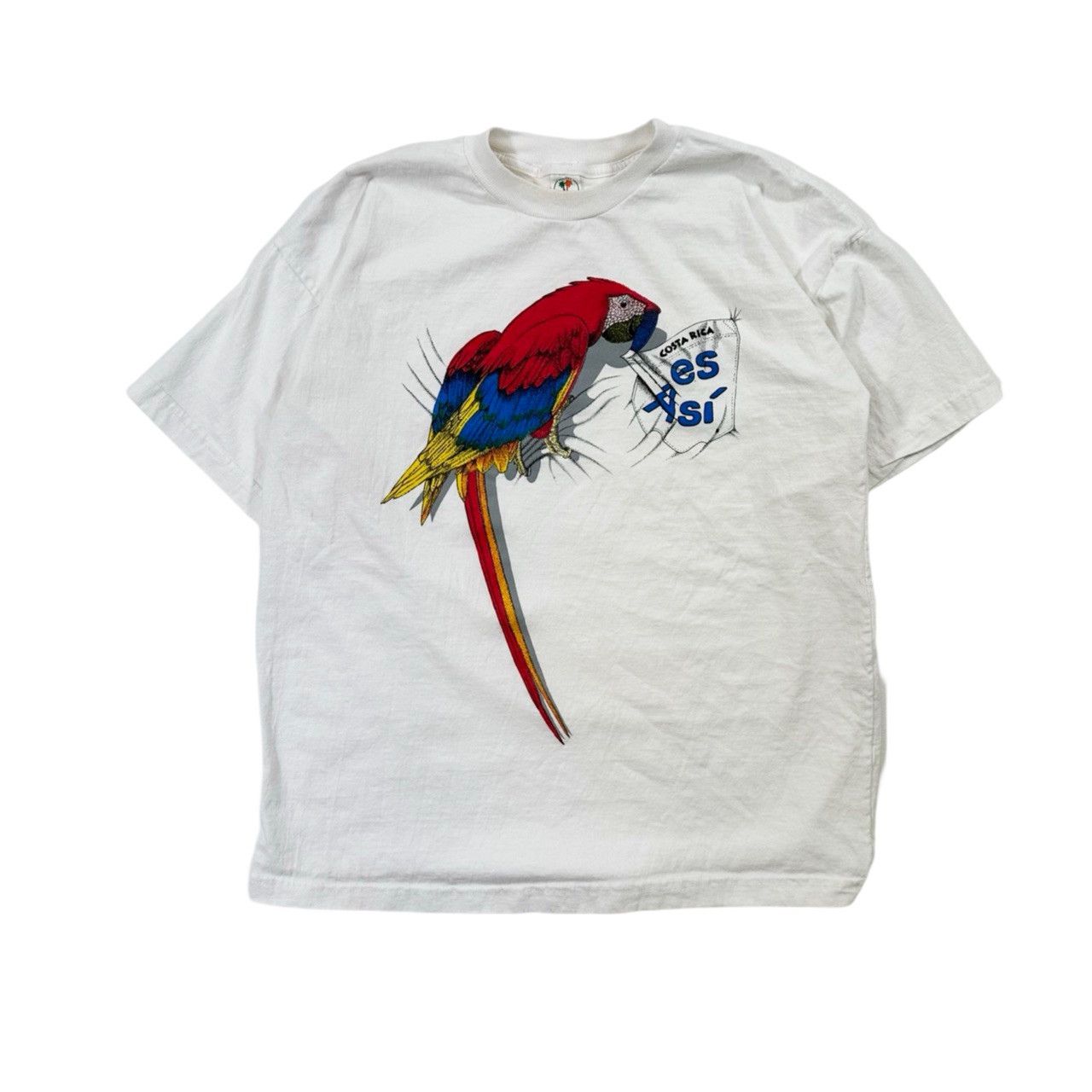 Vintage Vintage 90s Costa Rica Big Print Parrot Graphic T Shirt Size US L / EU 52-54 / 3 - 1 Thumbnail