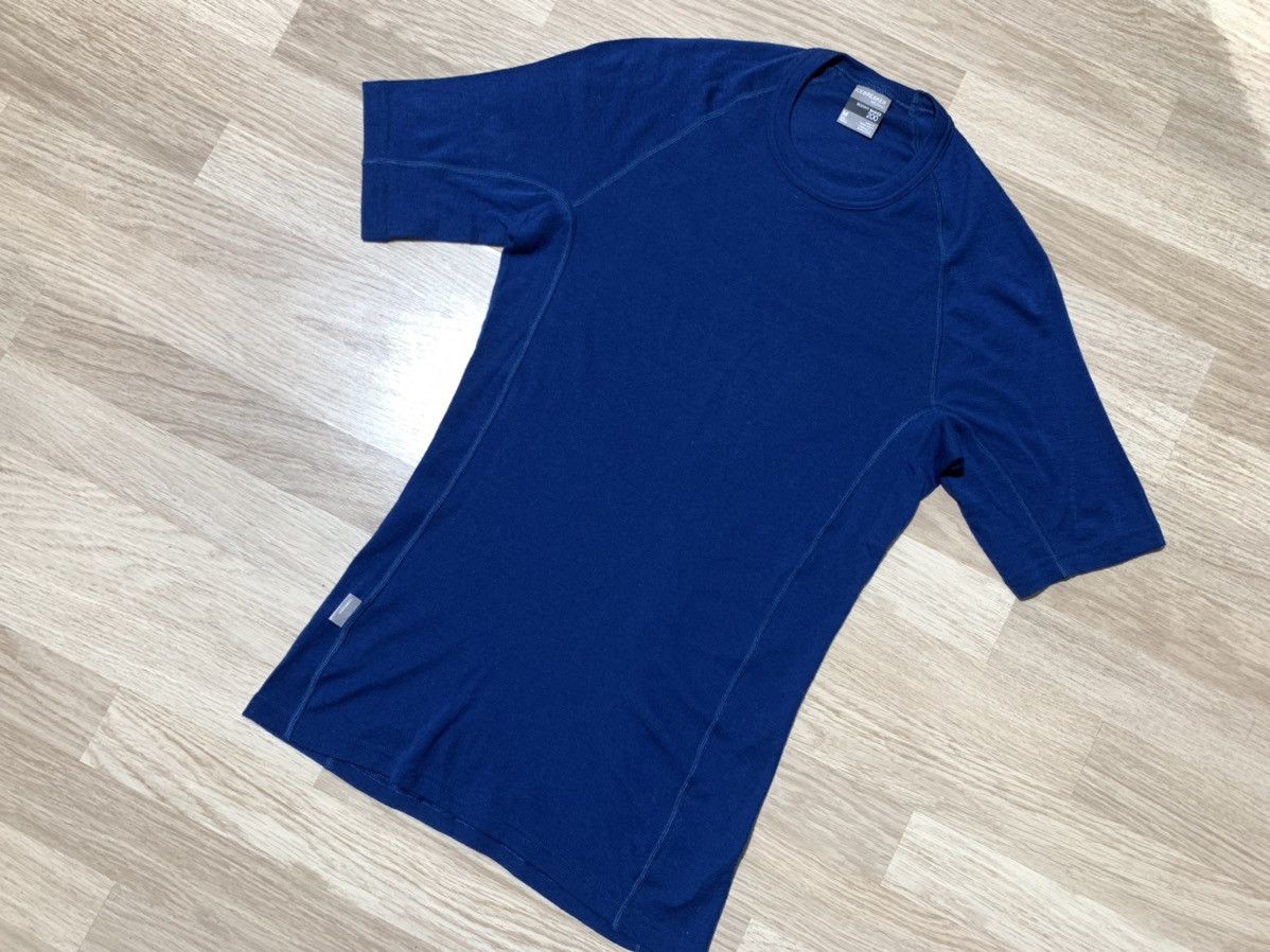 Icebreaker Icebreaker merino 200 t shirt M Size US M / EU 48-50 / 2 - 3 Thumbnail