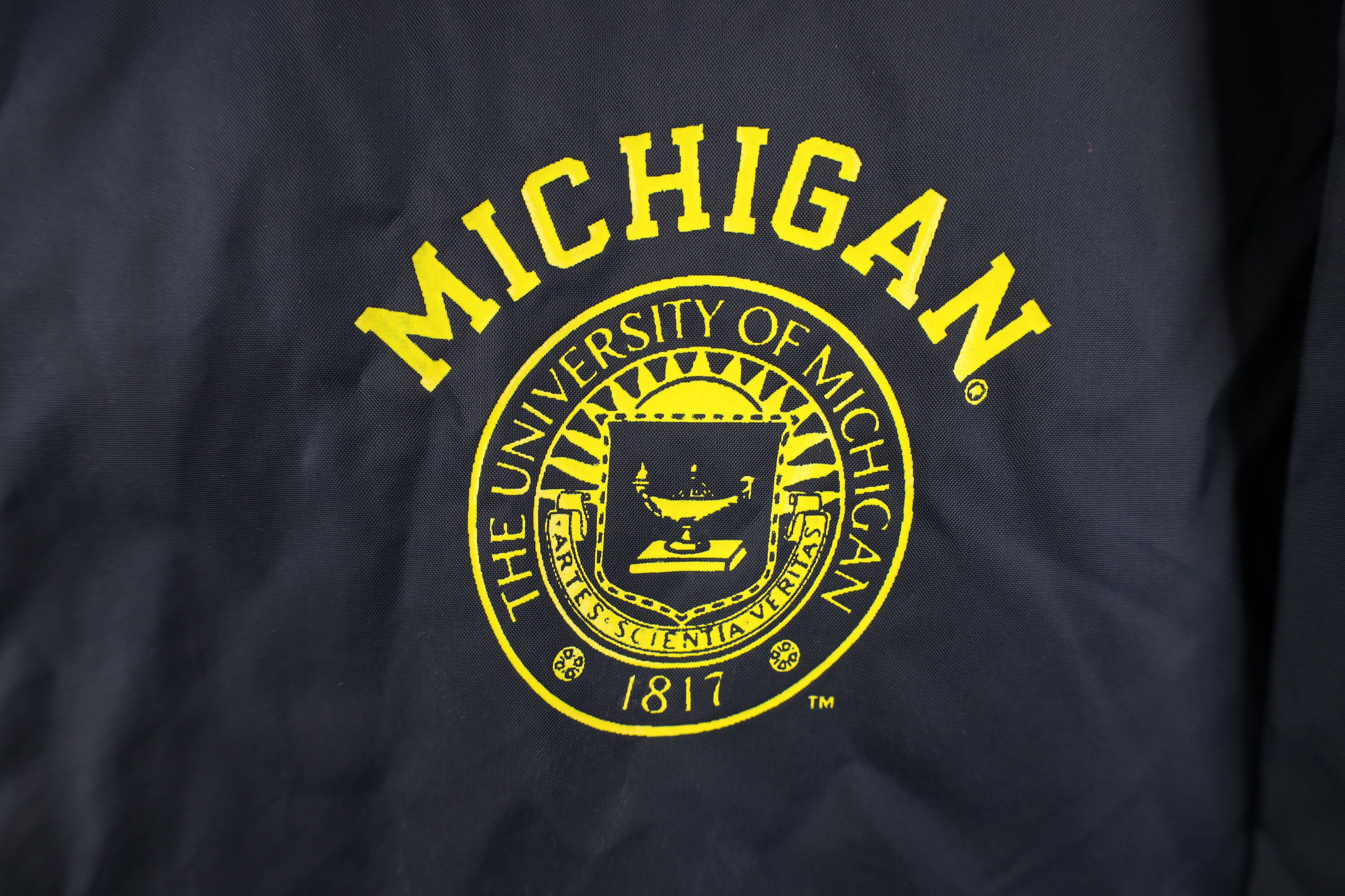 Champion Vintage Champion University of Michigan Hooded Anorak Jacket Size US L / EU 52-54 / 3 - 6 Thumbnail