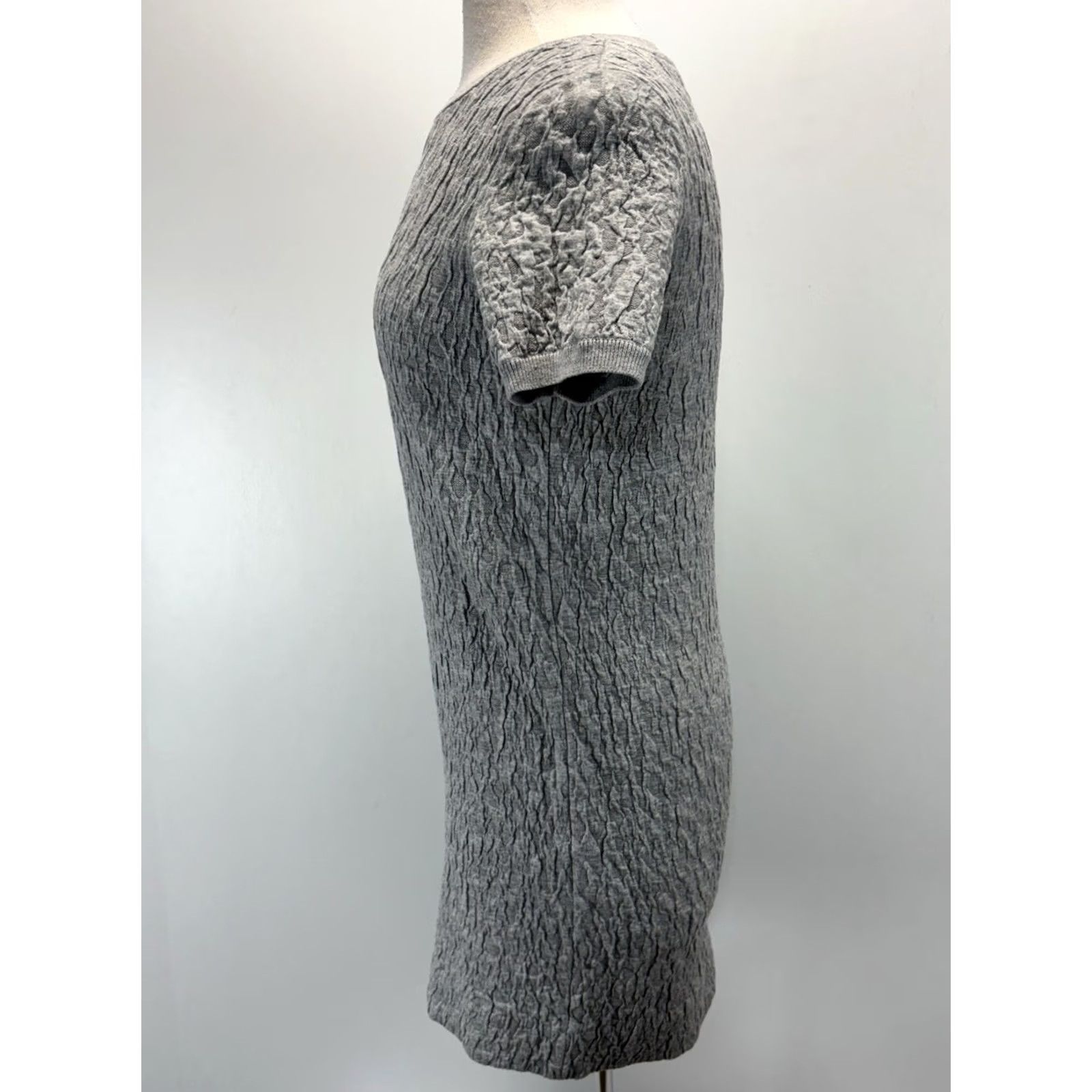 Cos COS Textured Mini Dress Women’s XS Grey Short Sleeve Minimalist Modern Capsule Dress Womens XS Grey Short Sleeve Minimalist Modern COS Size 26" / US 2 / IT 38 - 2 Thumbnail