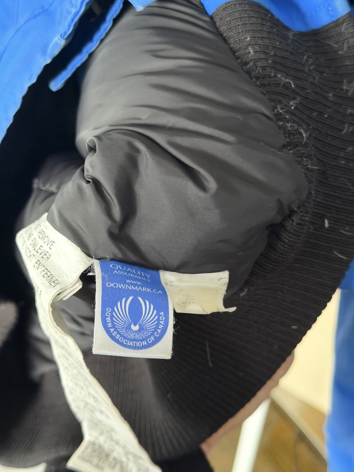 Canada Goose Canada Goose Chilliwack Bomber PBI Jacket Fur Blue Authentic Size S / US 4 / IT 40 - 11 Thumbnail