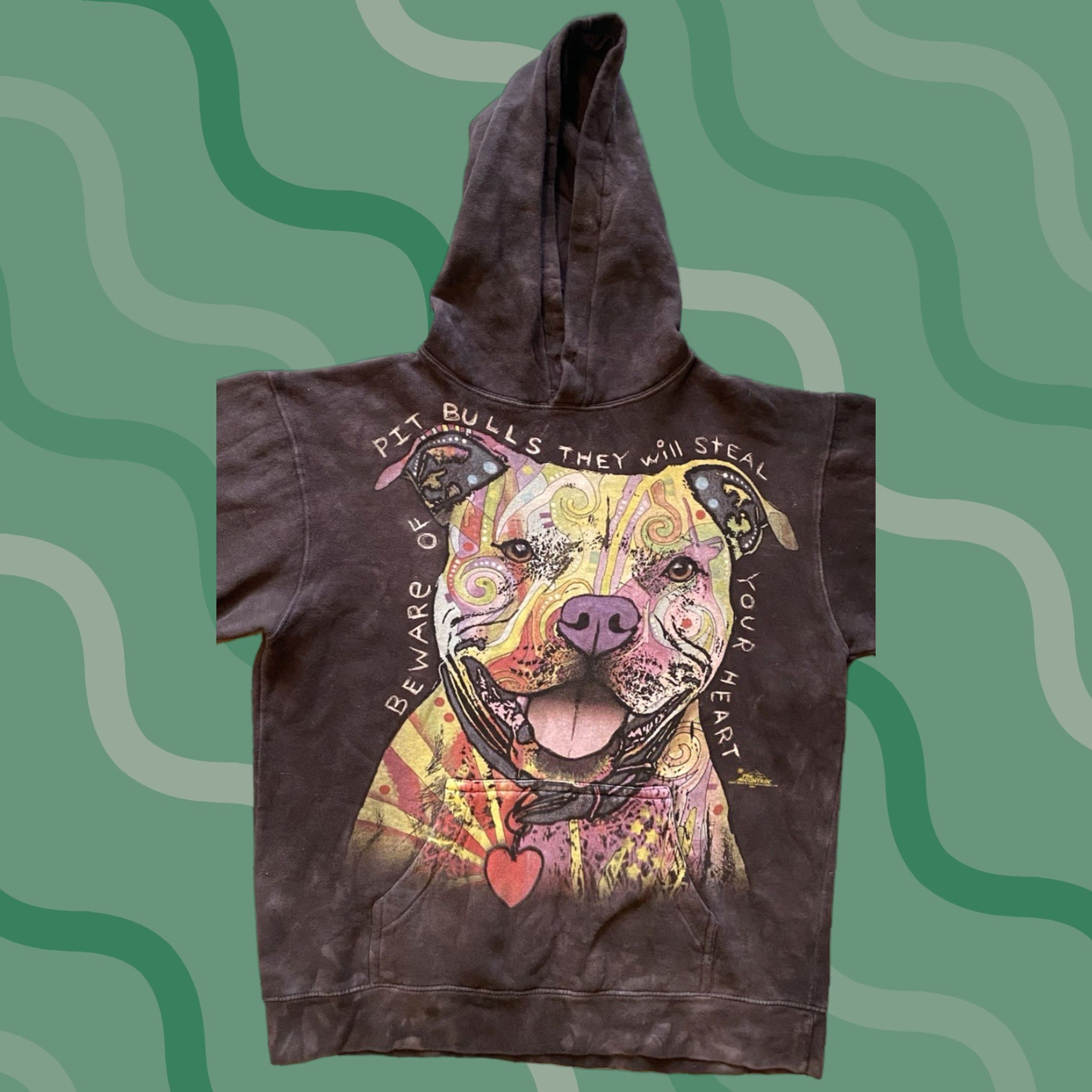 The Mountain The Mountain Hoodie Mens M Multicolor Dog Pit Bull Tie Dye Pullover Sweatshirt Size US M / EU 48-50 / 2 - 1 Thumbnail
