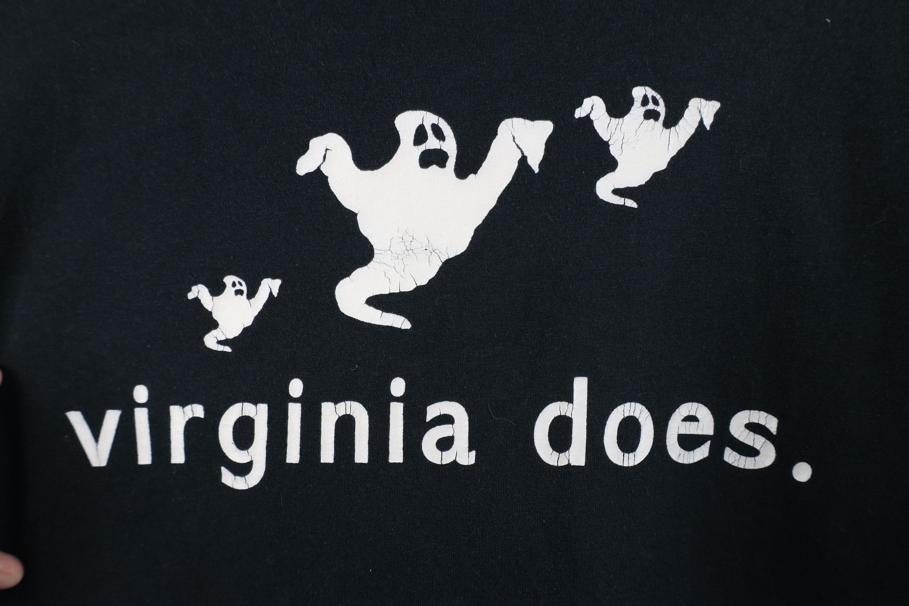 Vintage Vintage 90s Y2K Streetwear Ghost Hunter Virginia T-Shirt Size US L / EU 52-54 / 3 - 9 Thumbnail