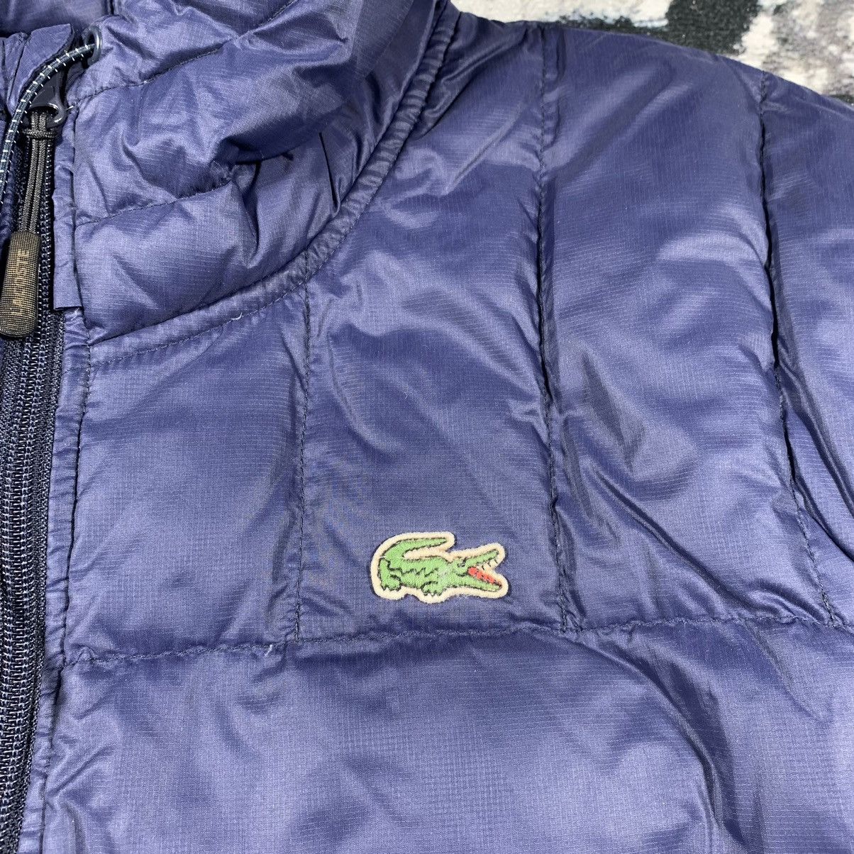Lacoste × Vintage Lacoste Navy Down Jacket Hood Vintage Style Small Logo Size US L / EU 52-54 / 3 - 4 Thumbnail
