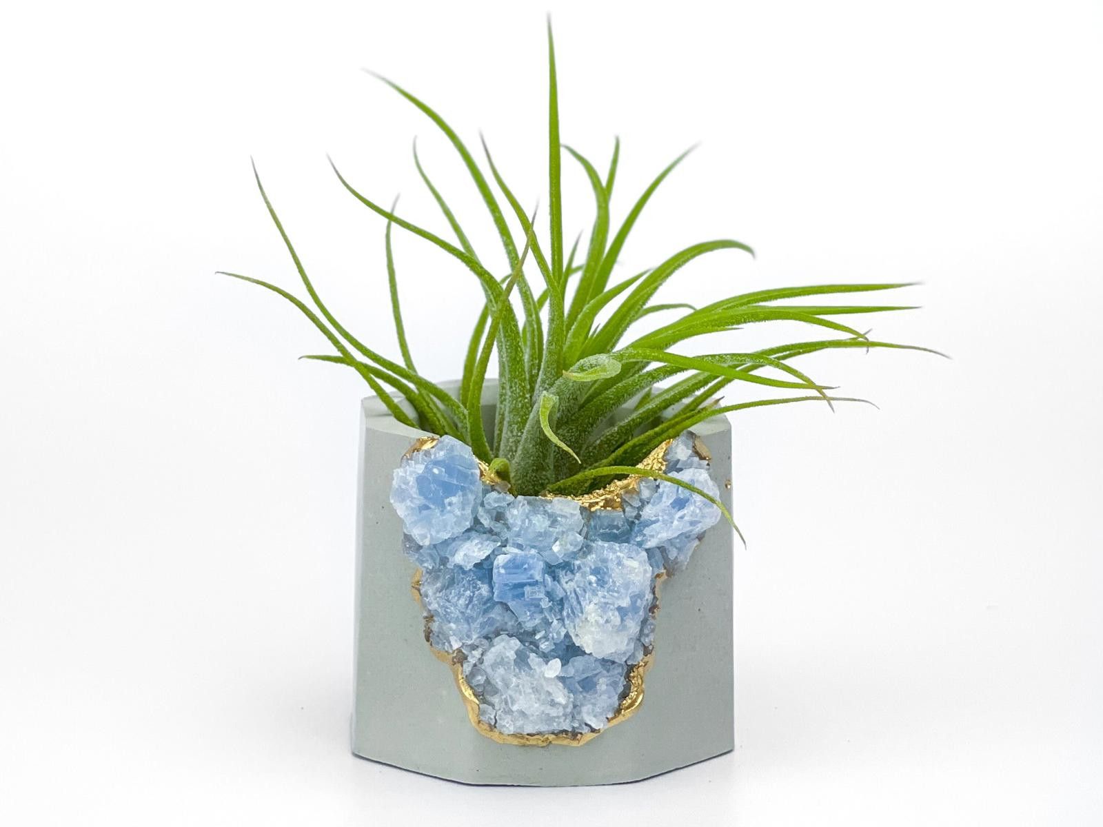 Other Succulent Crystal Planter | Geode Planter | Raw Blue Calcite Size ONE SIZE - 5 Thumbnail