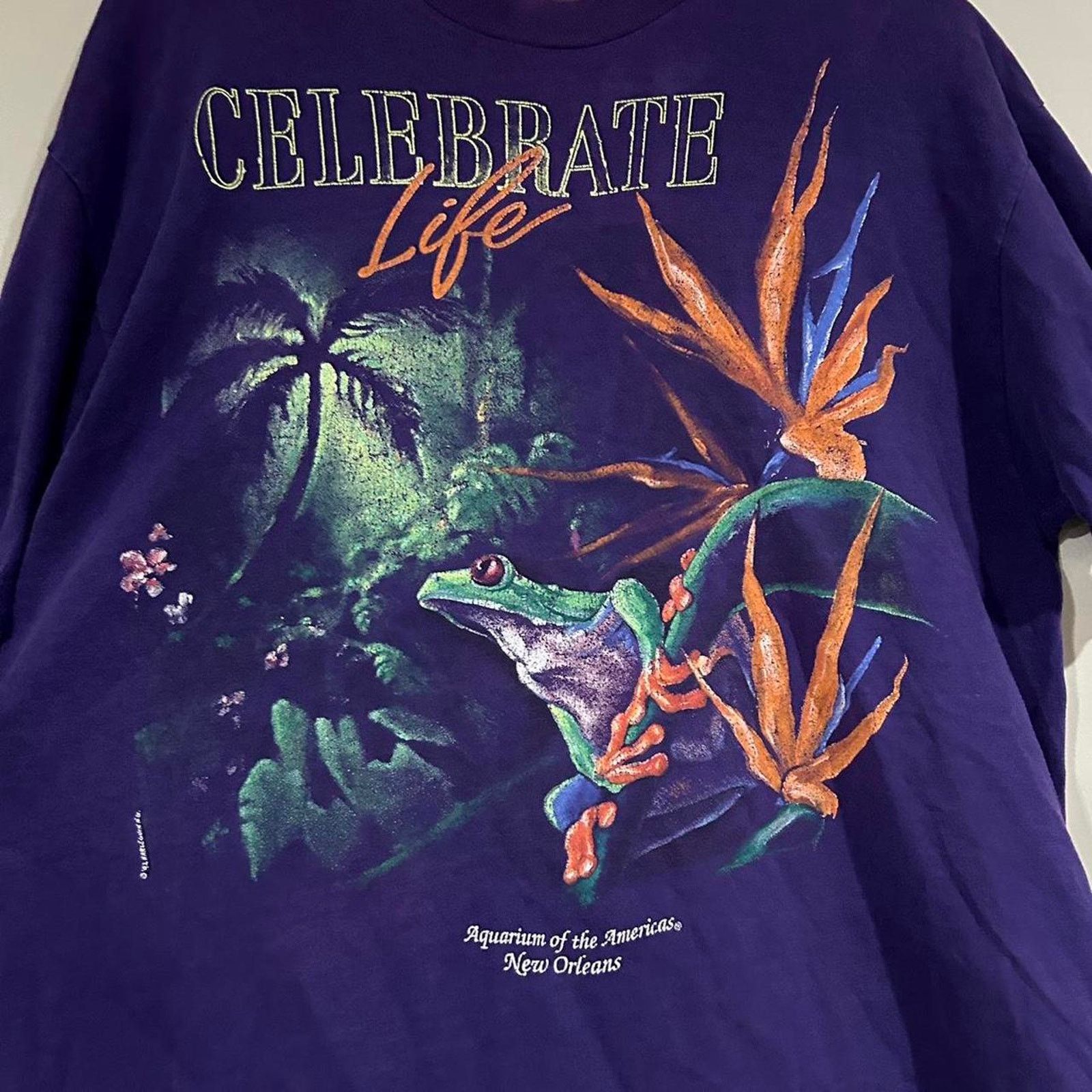 Hanes Vintage 1992 Celebrate Life Frog Tee Shirt Size US L / EU 52-54 / 3 - 2 Thumbnail