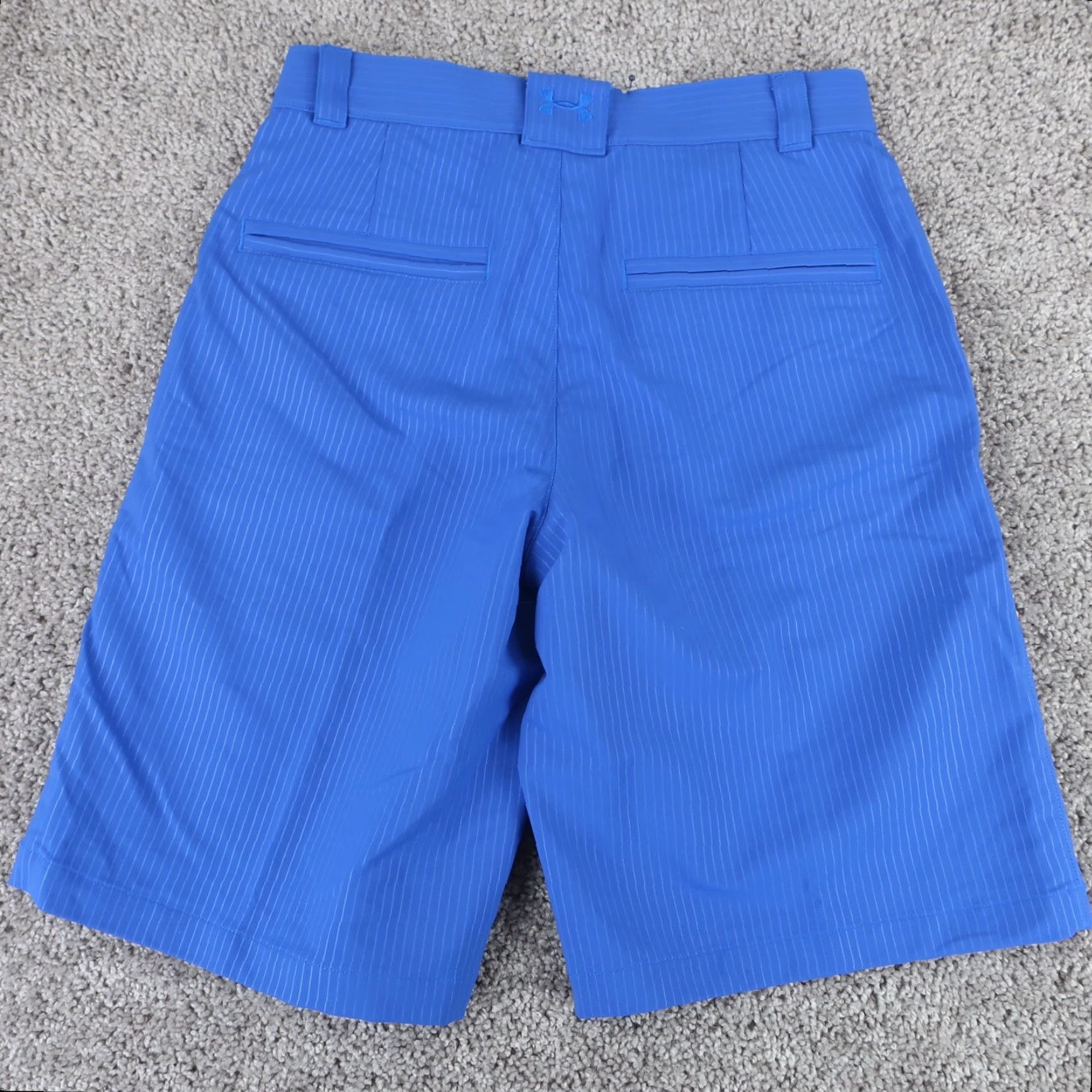 Under Armour Under Armour Shorts Men 28 Blue Striped HeatGear Performance Stretch Long Inseam Chino Casual Loose Breathable Lightweight Inseam 12 in 28 in Mens Size US 28 / EU 44 - 2 Thumbnail