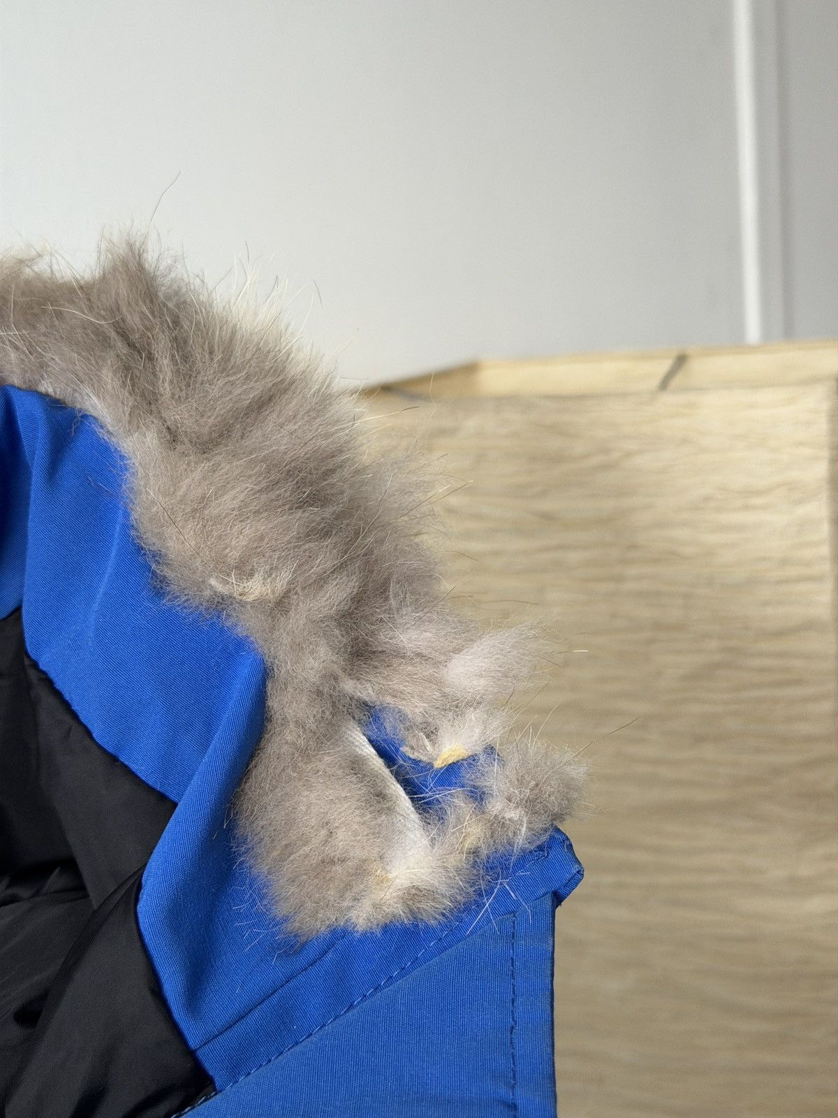 Canada Goose Canada Goose Chilliwack Bomber PBI Jacket Fur Blue Authentic Size S / US 4 / IT 40 - 8 Thumbnail
