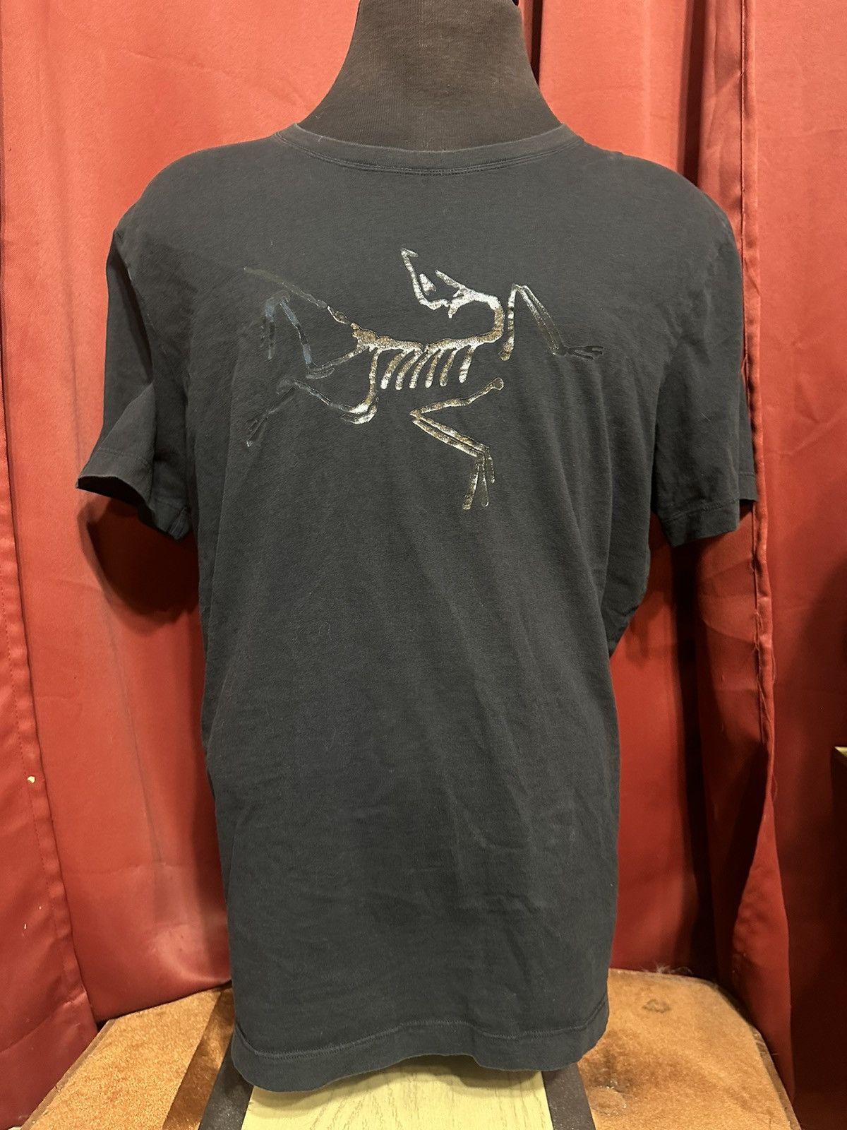 Arc'teryx Arc’teryx Big Logo Tshirt Tonal Bird GorpCore Grail Size US XL / EU 56 / 4 - 1 Thumbnail