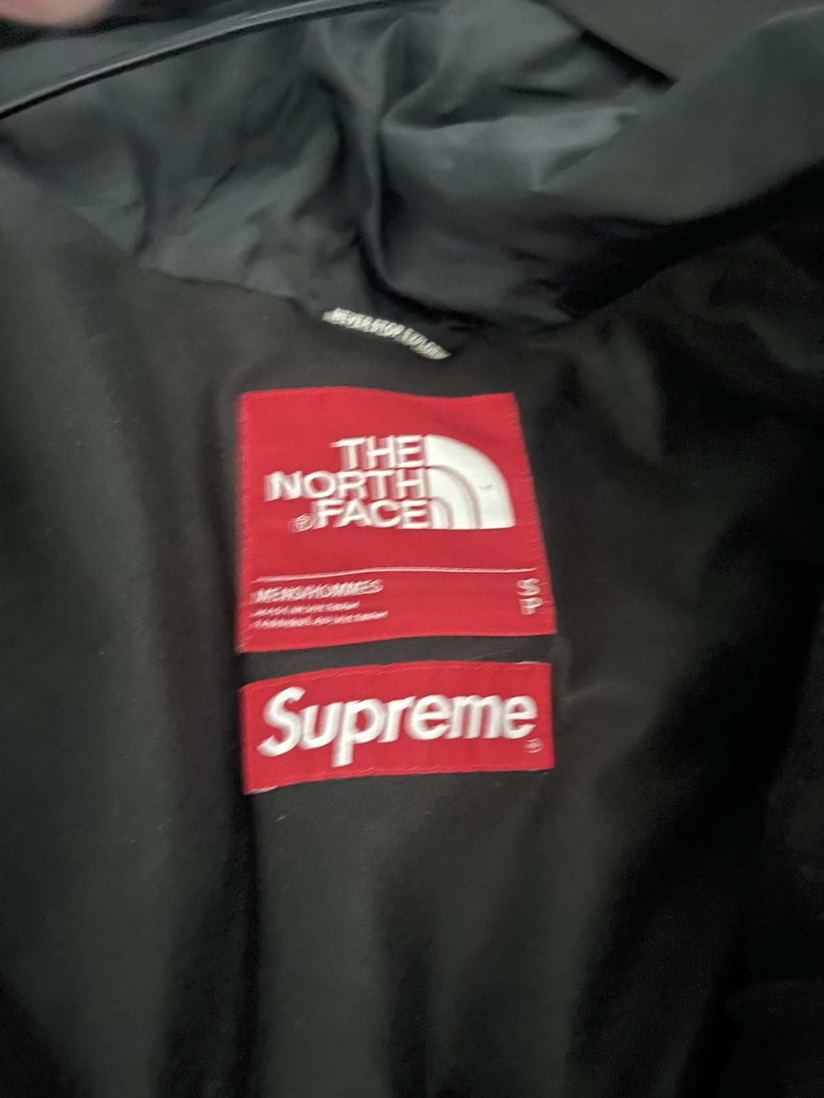 Supreme × The North Face Supreme X TNF S logo Mountain Jacket Size small Size US S / EU 44-46 / 1 - 3 Thumbnail