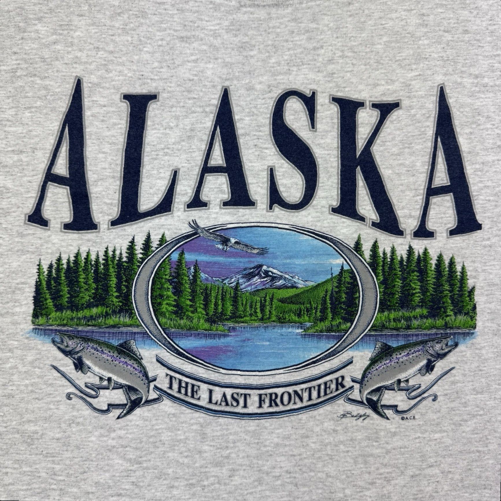 Vintage VINTAGE Alaska T-Shirt Men Adult Large Gray Nature Animals Y2K Eagle Forest 90s Concert? (remove questionable) Size US L / EU 52-54 / 3 - 2 Thumbnail