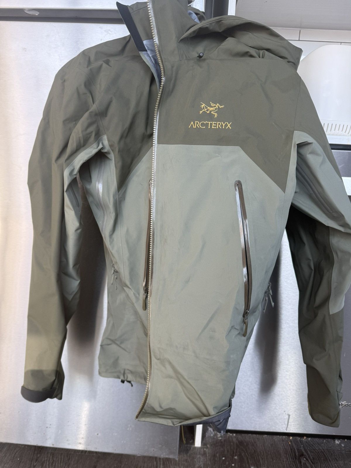 希少ARCTERYX アークテリクスBeta AR Tatsu M size Beta Ar Jacket M Size Tatsu Color | eBay