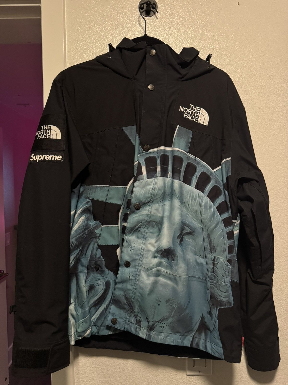 Supreme Supreme The North Face Statue of Liberty Mountain Jacket Size US M / EU 48-50 / 2 - 2 Thumbnail